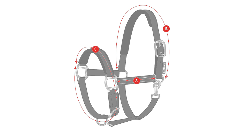 LeMieux headcollar size measurement diagram