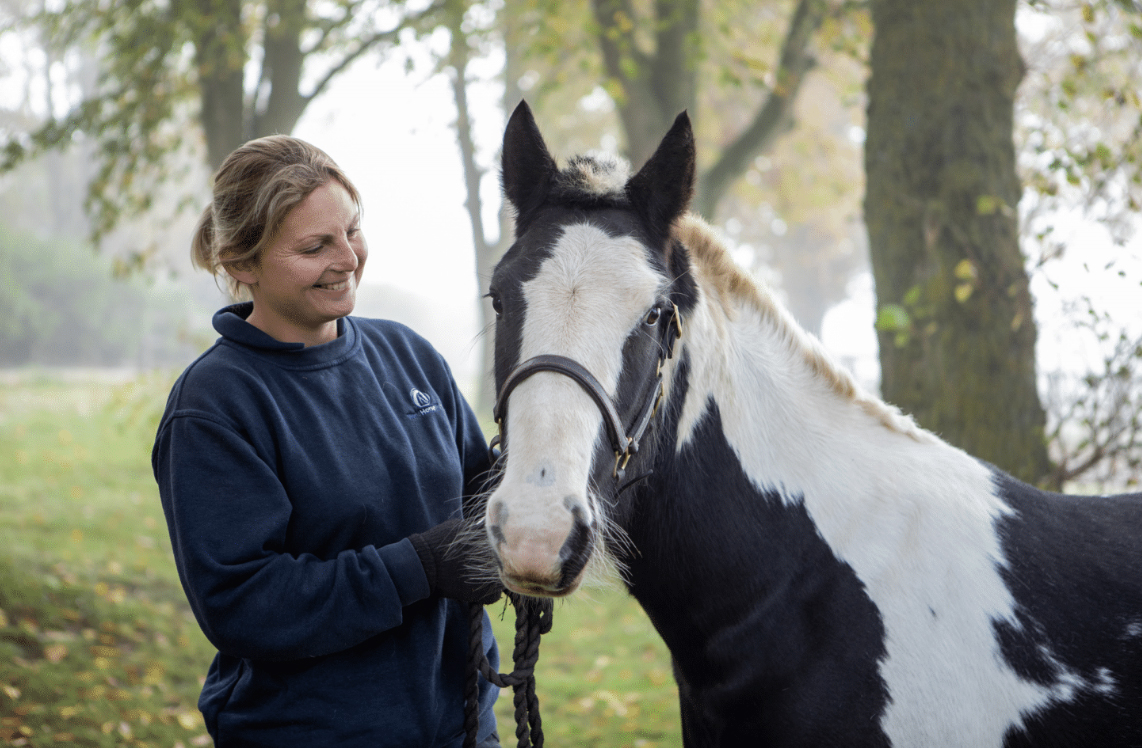 World Horse Welfare Partnership