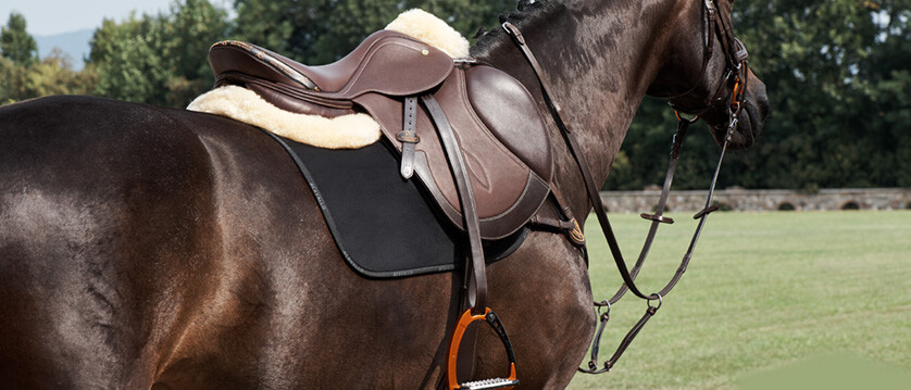 Breastplate PS Of Sweden Melbourne Avec Martingale - Taille Réelle, Noir, Neuf Pour Cheval