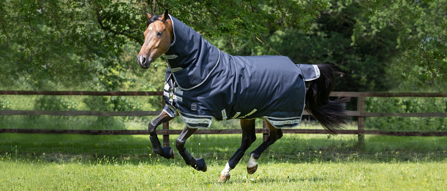 Protect Your Horse with Our Durable Horse Rugs LeMieux
