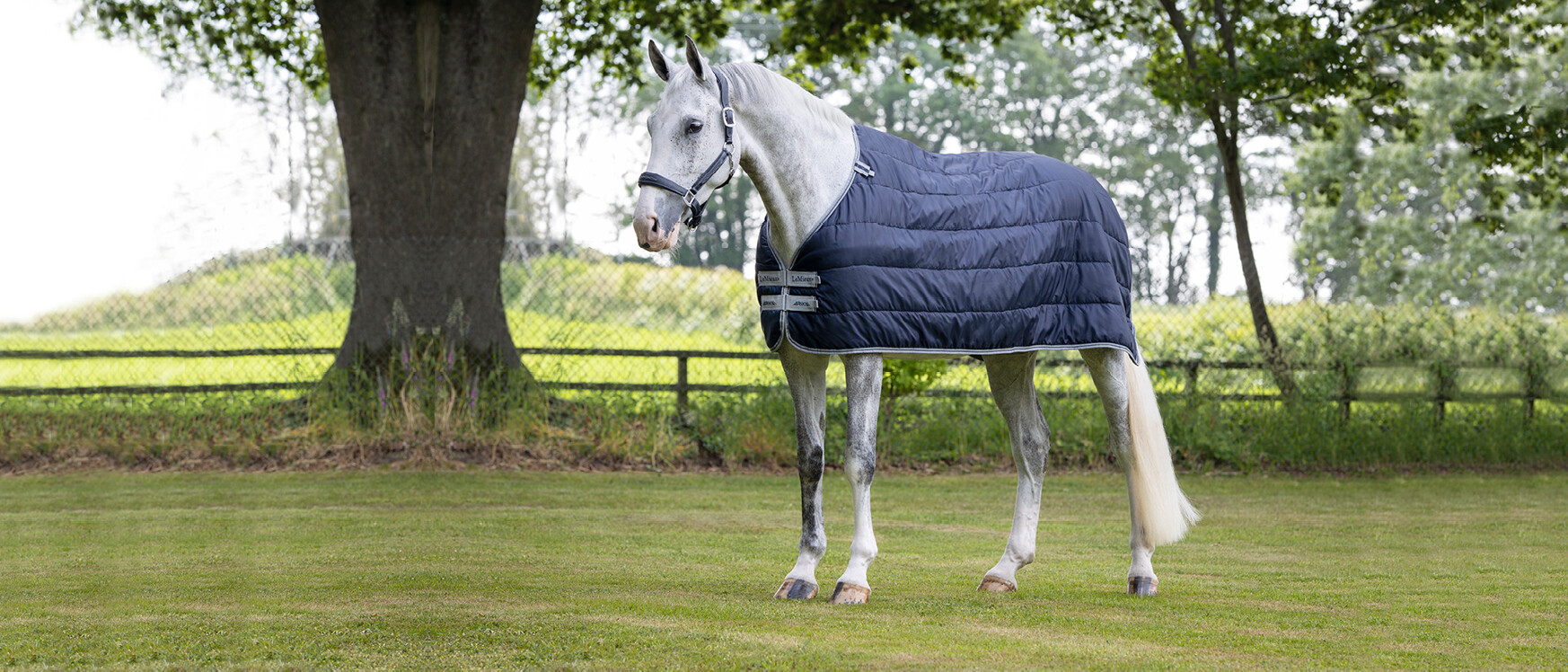 Horse Under Rugs for AllWeather Protection LeMieux