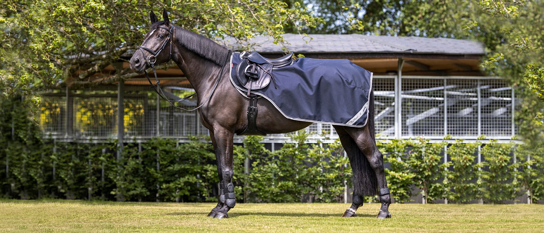 Horse Exercise Sheets Keep Your Equine Protected LeMieux