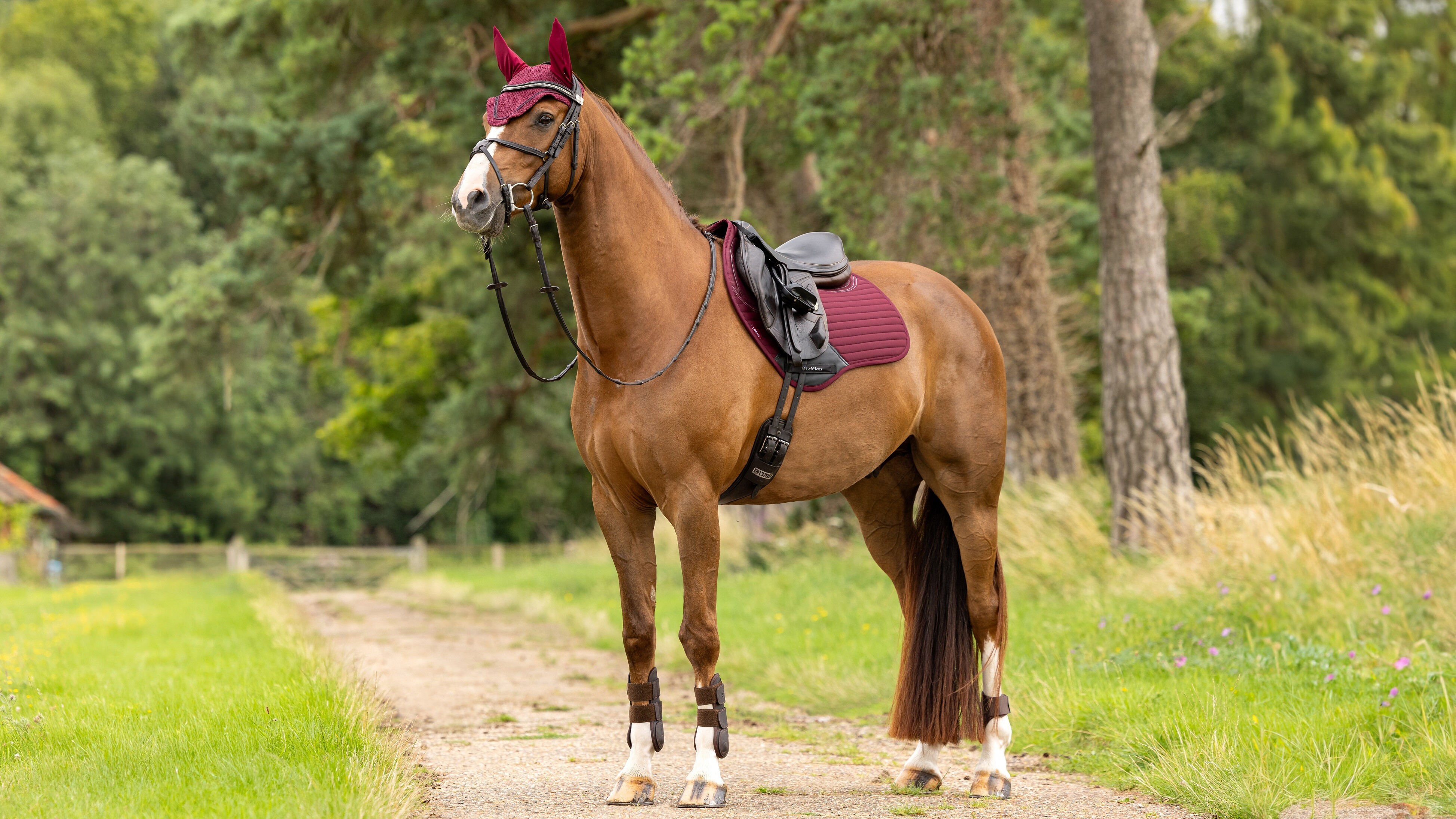 廃盤レア ALITE エーライト ミドーレストMEADOW REST 廃盤レア ALITE エーライト ミドーレストMEADOW REST 廃盤レア ALITE