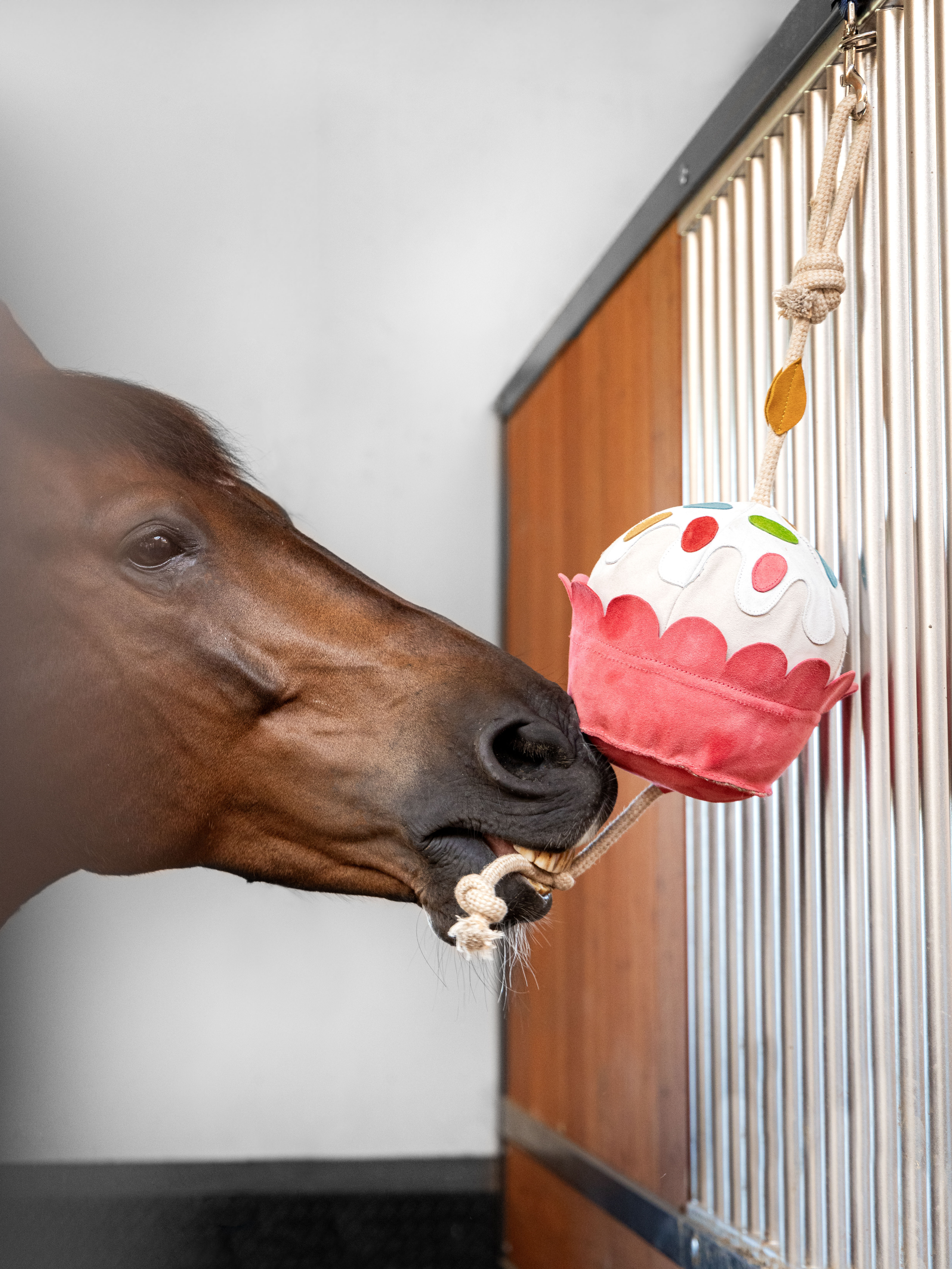 Horse Toy Cupcake Horse
