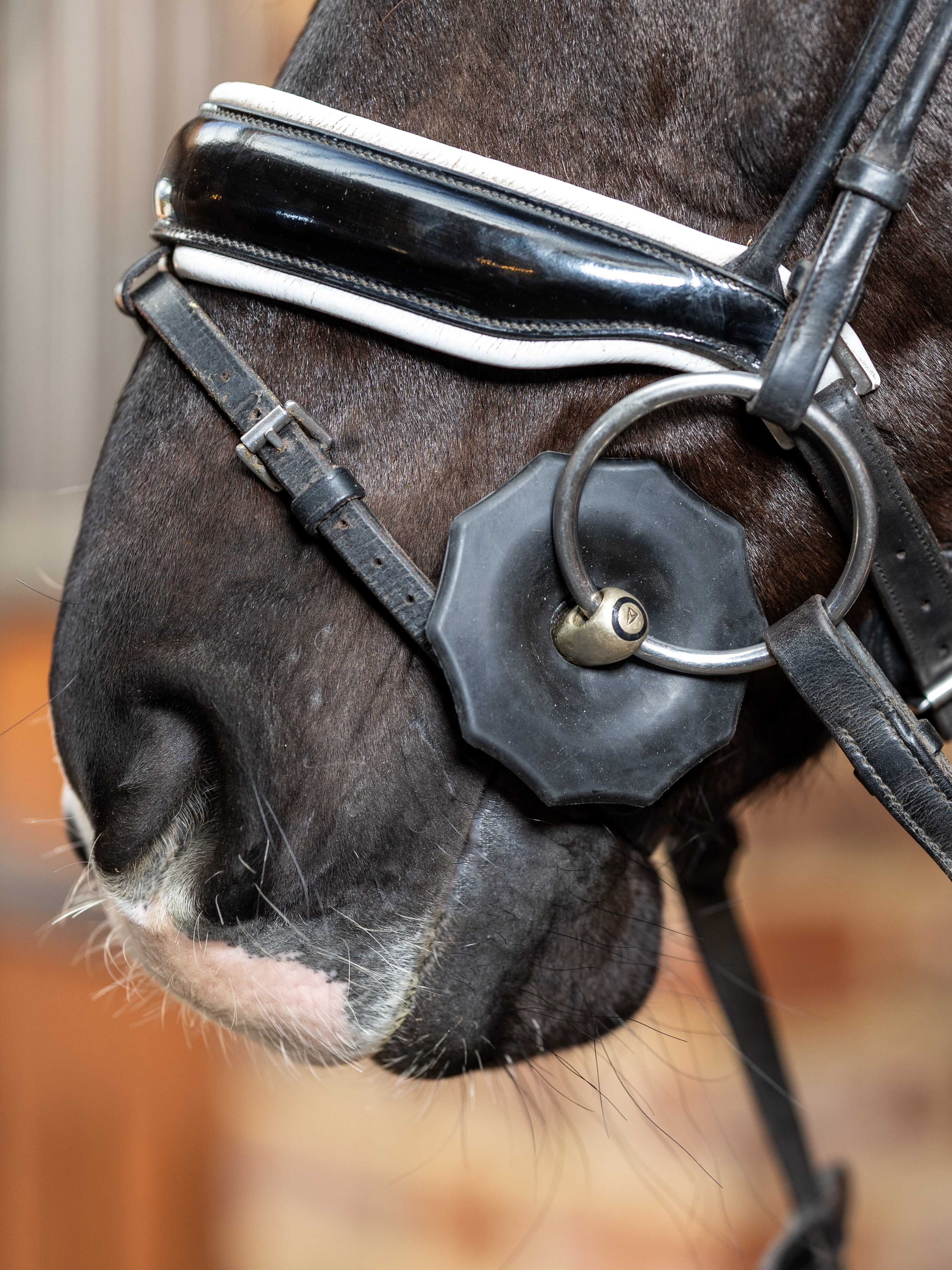 Bit Guards for Horses: Ultimate Comfort and Control Guide