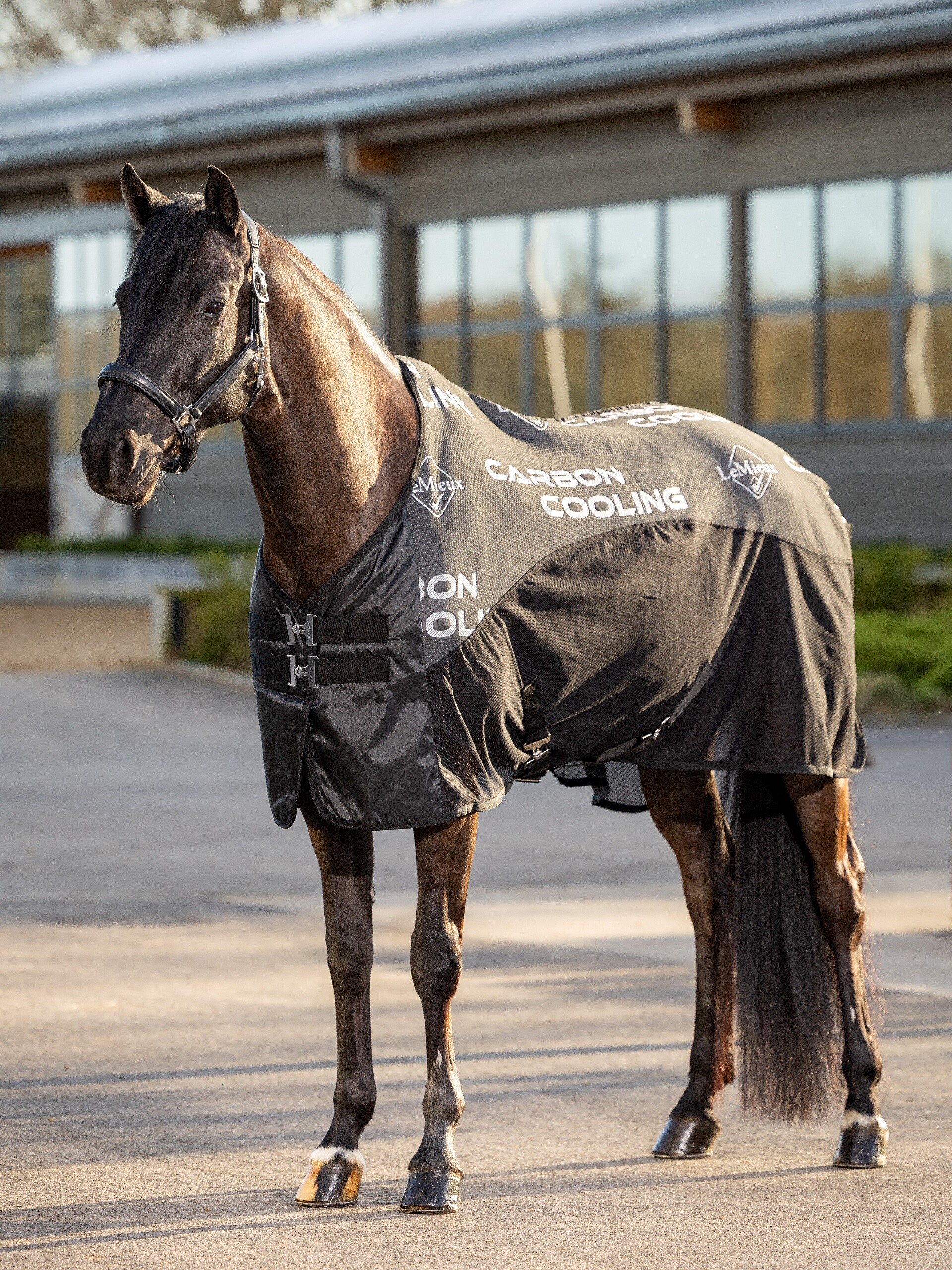 MIEUX☆ Carbon Cooler Blanket Black Horse