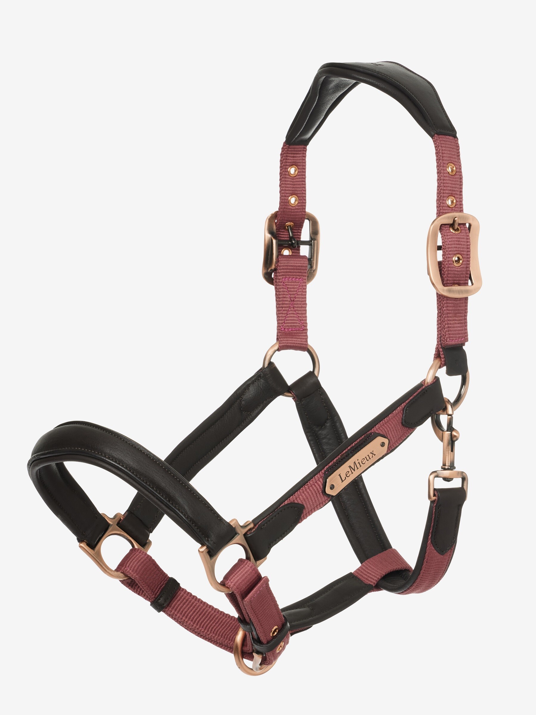 BR EQUESTRIAN - Bottes pour tendon CLX XO2 Sea Spine