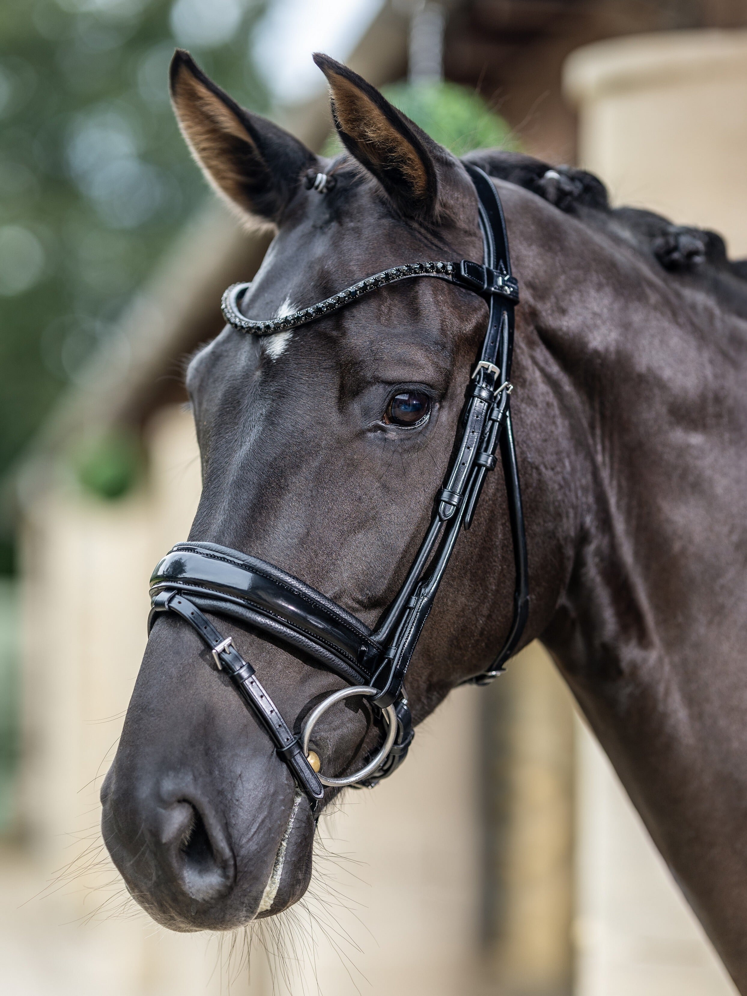 Kudos Patent Rolled Dressage Bridle Black Horse