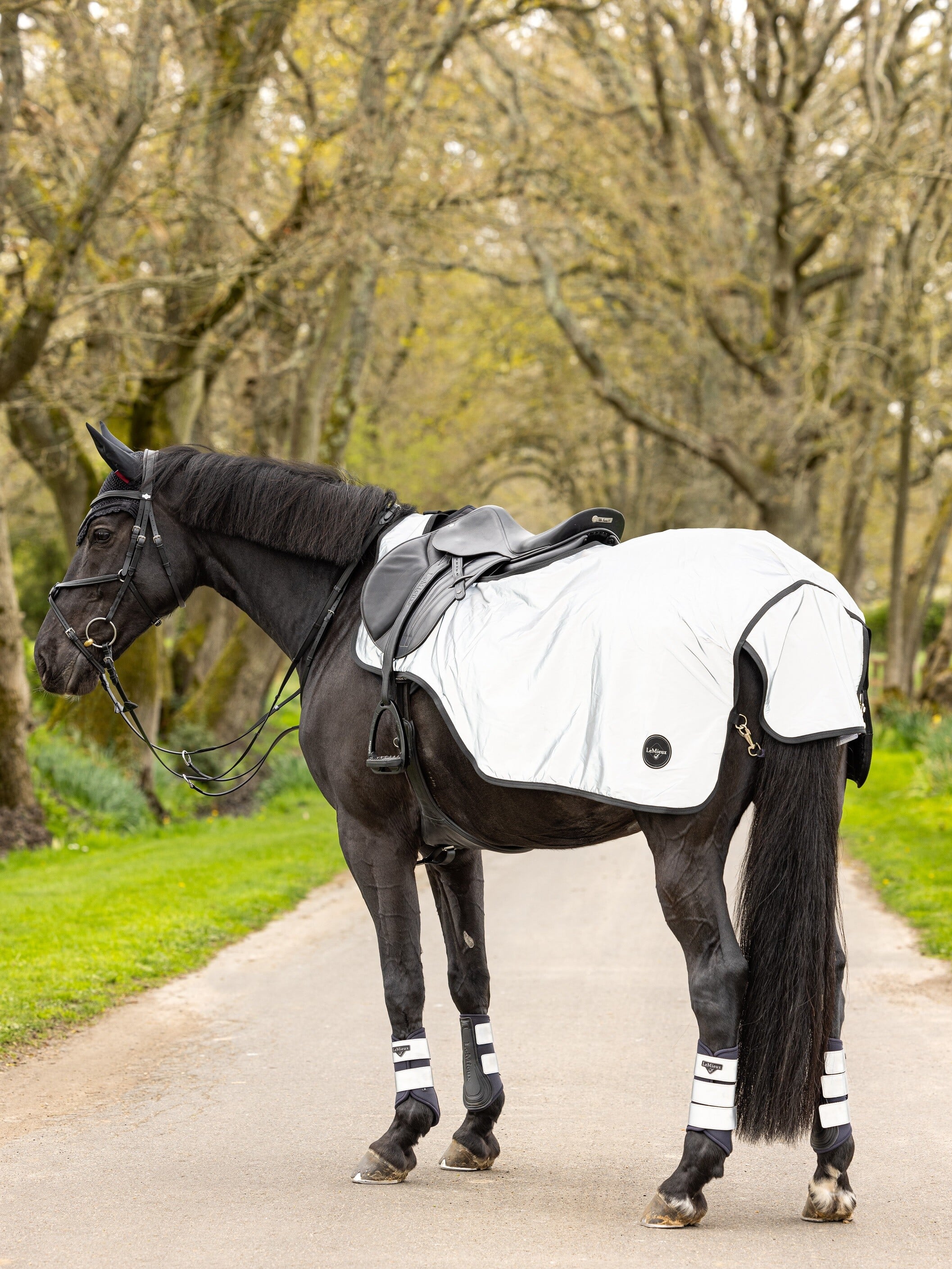 Reflective Exercise Sheet Horse