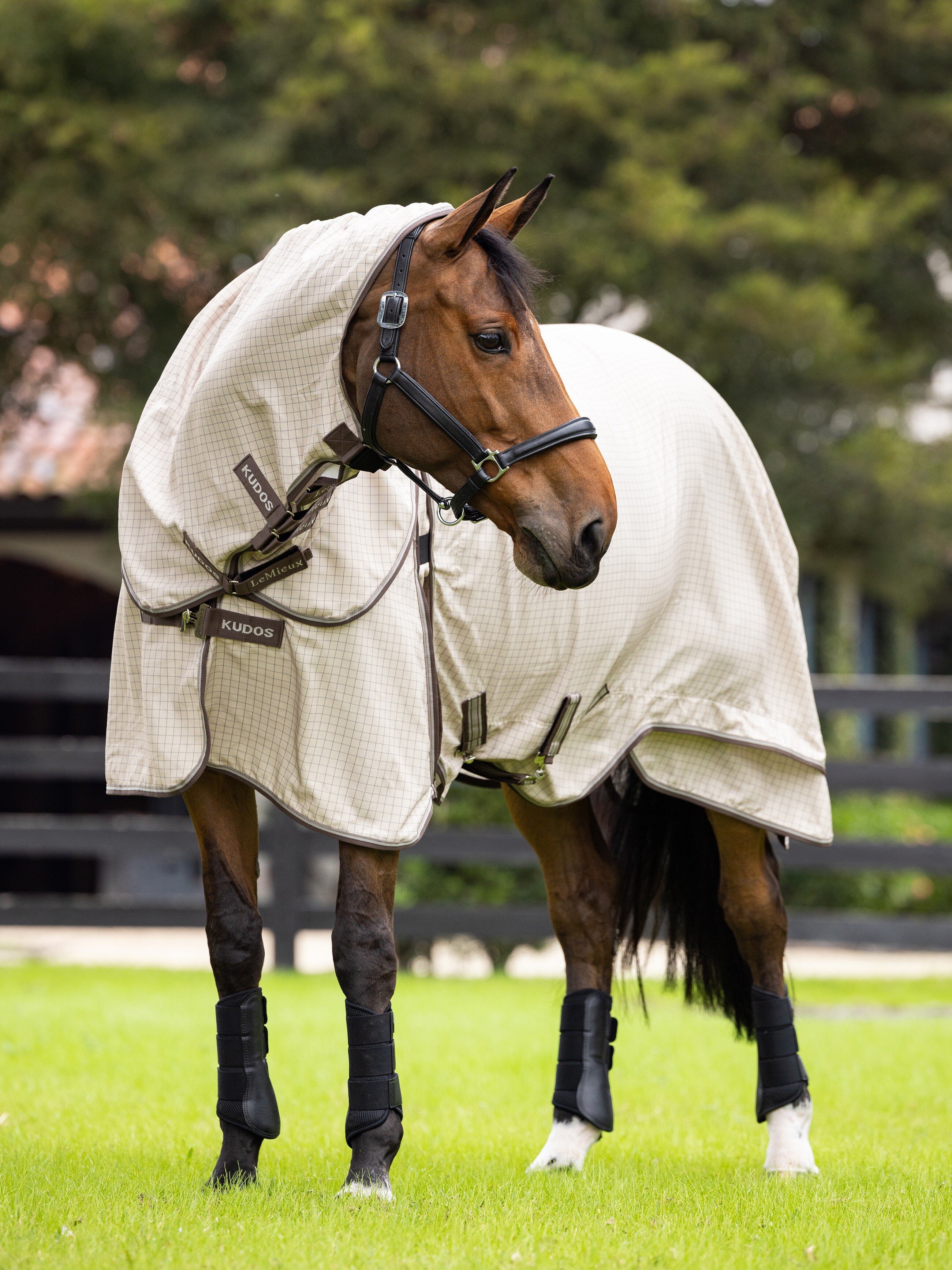 Kudos Field Rug Stone Horse