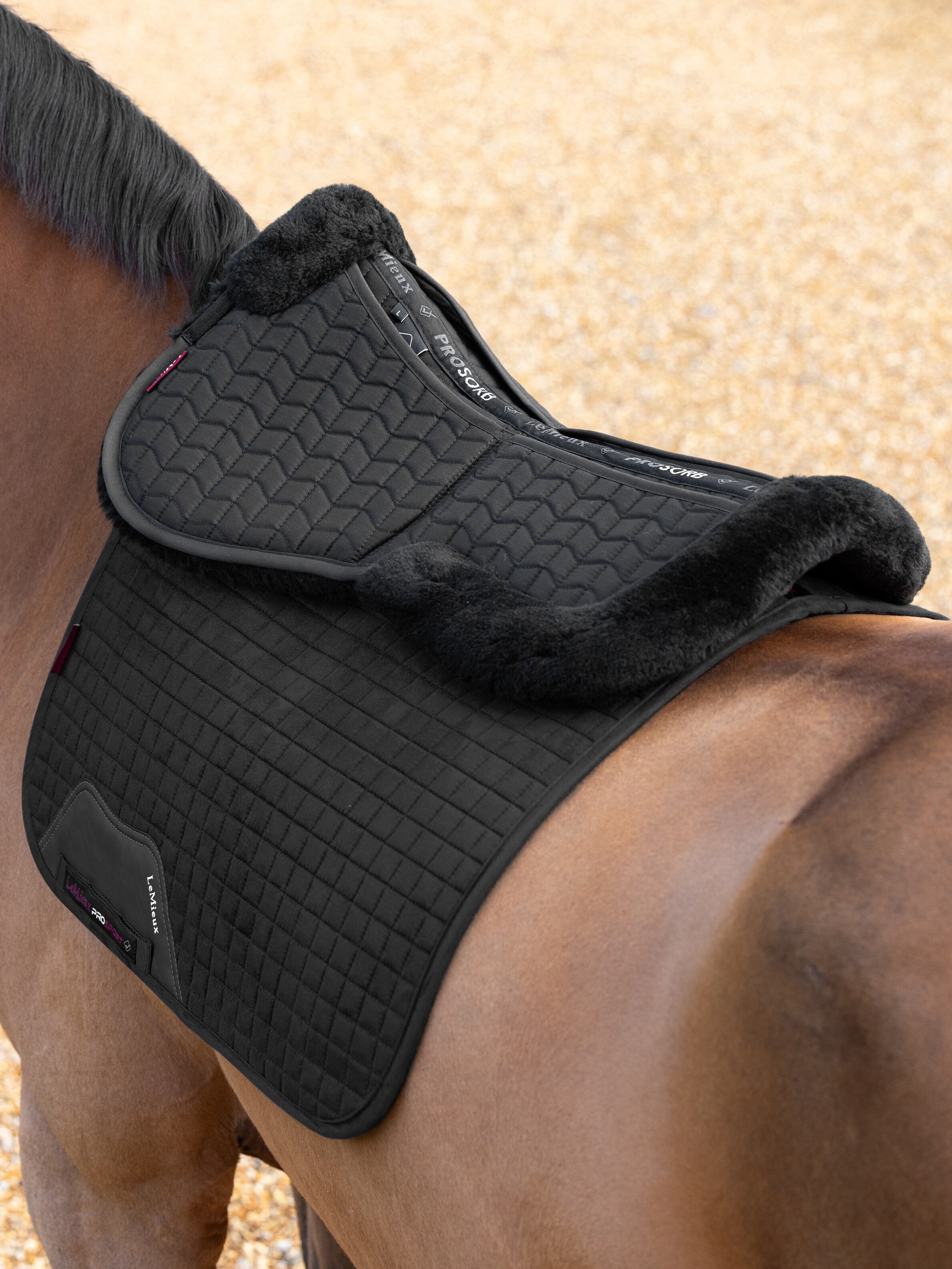 Merino+ ProSorb 2 Pocket Half Pad Black/Black Saddle Pads Merino+ ProSorb 2 Pocket Half Pad Black/Black Saddle Pads