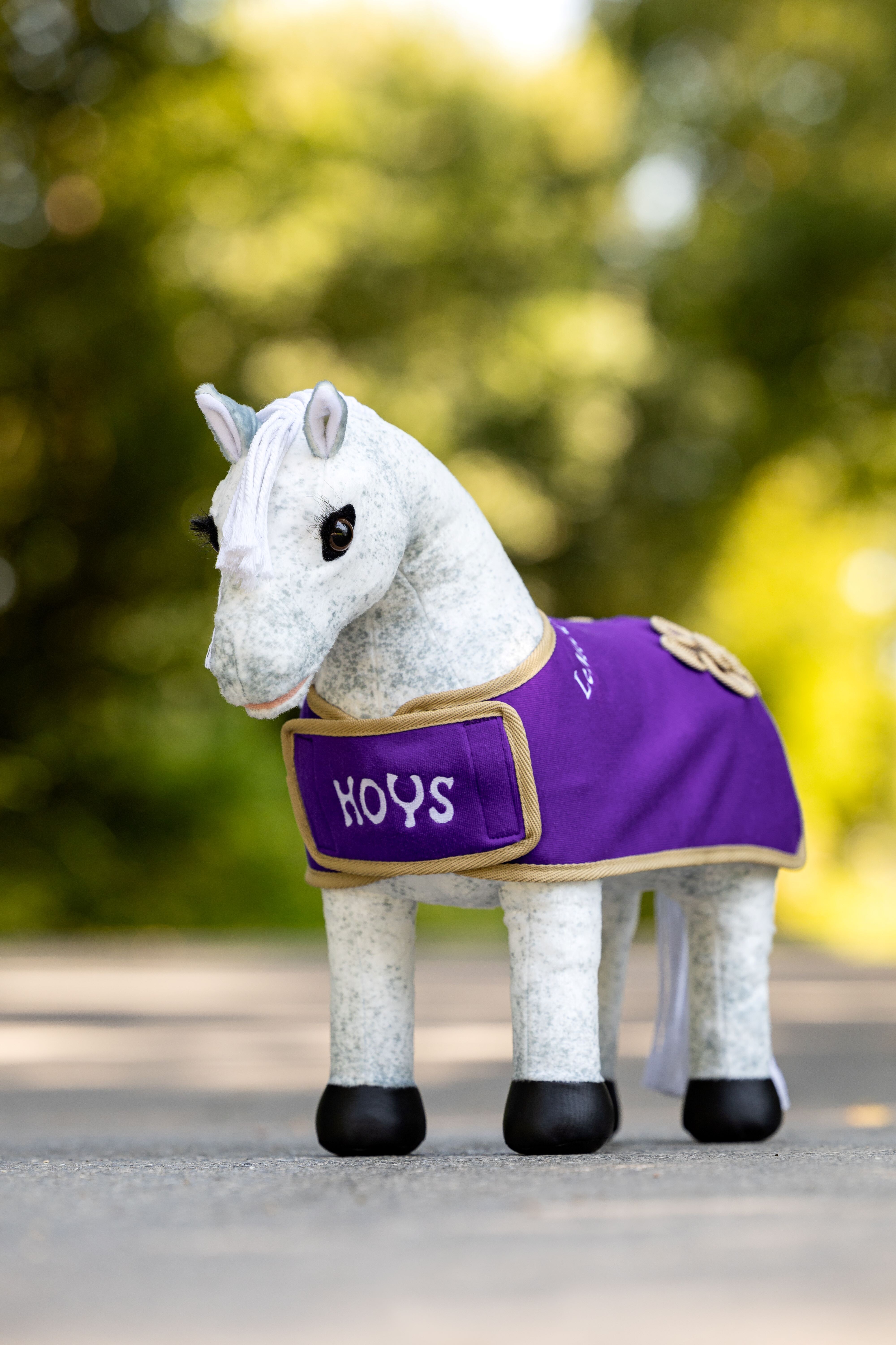 HOYS Toy Pony Winners Rug Toys