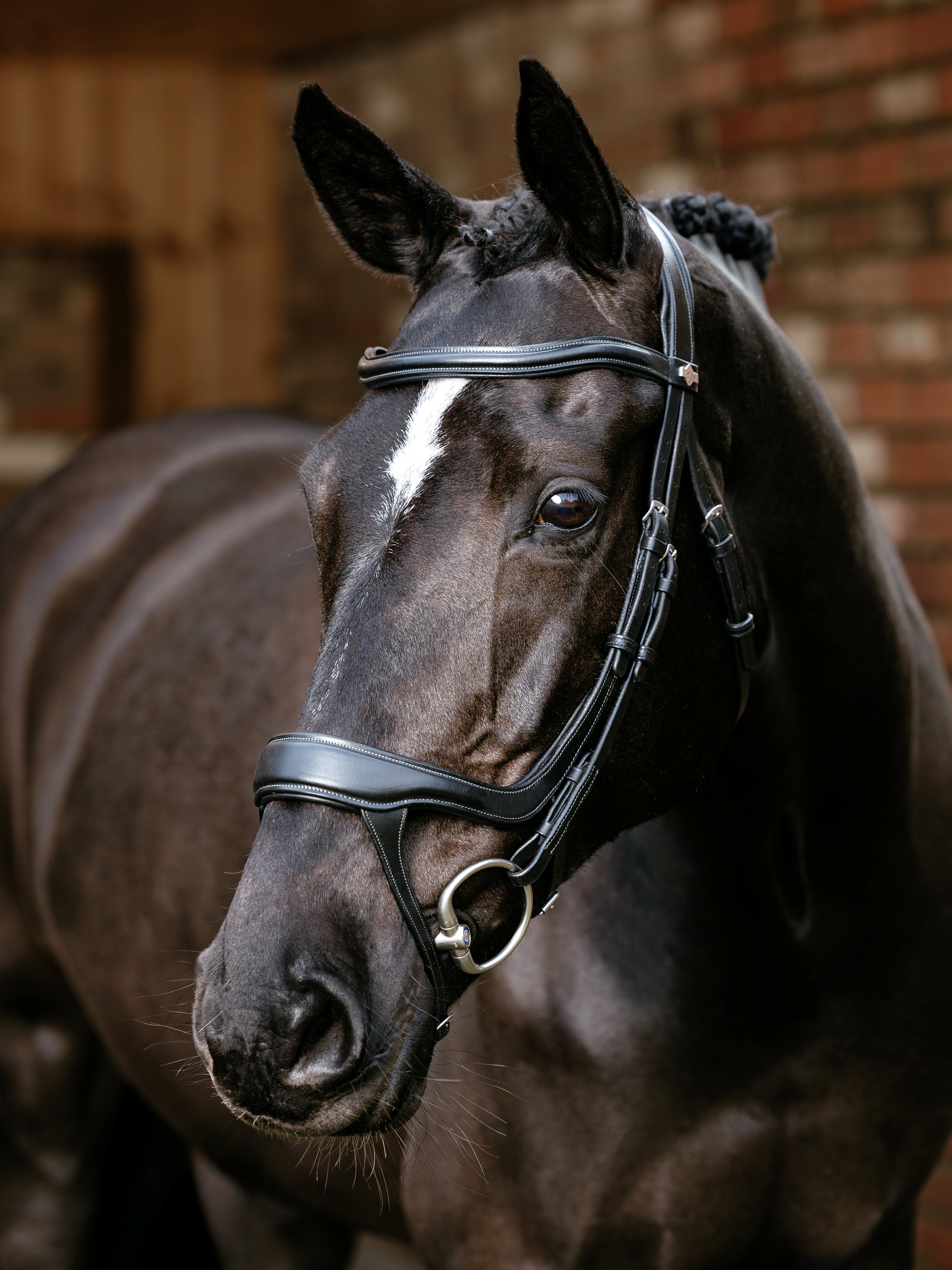 Arika Split Noseband Bridle Black Horse