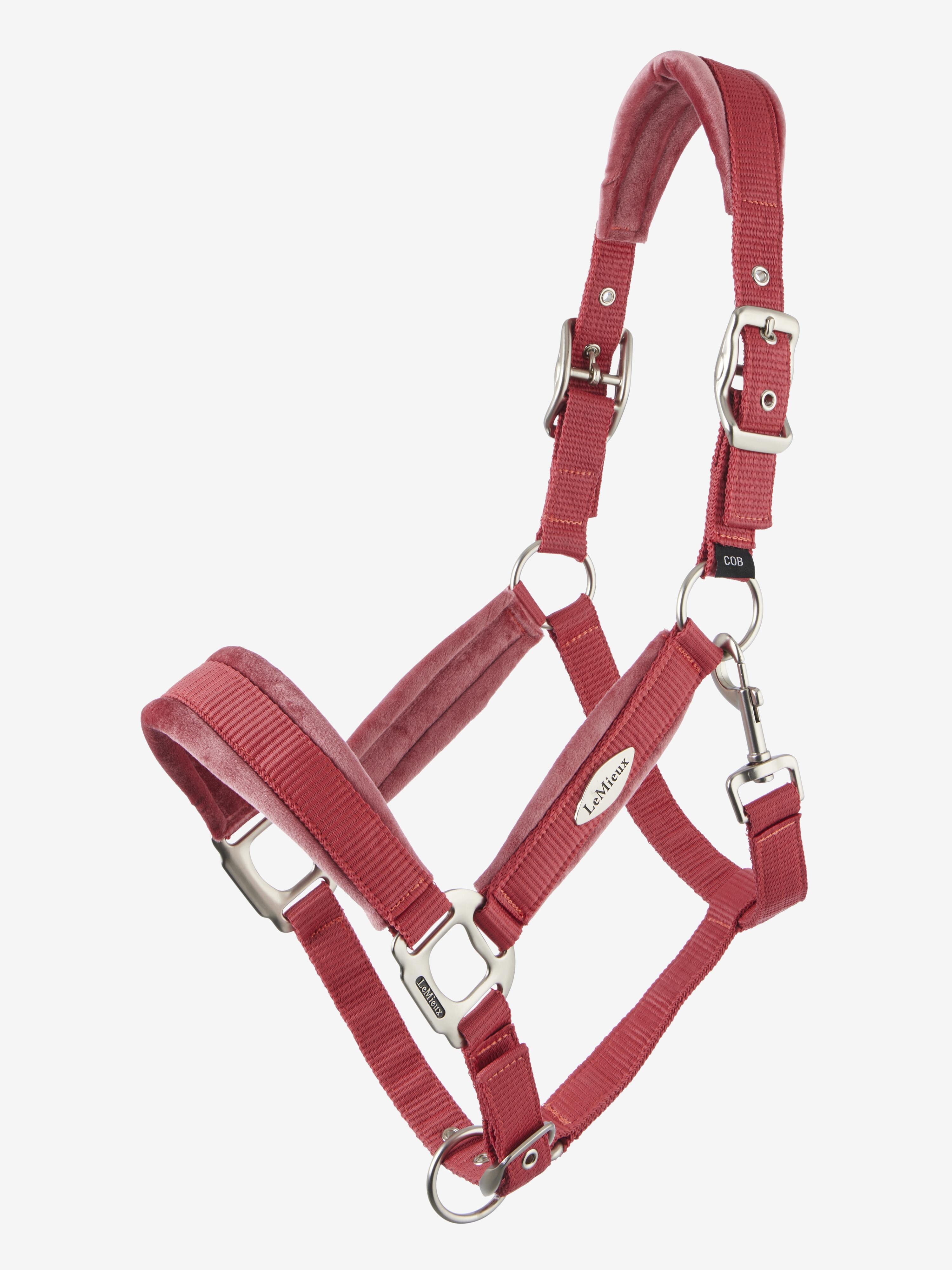 Versailles Headcollar Cranberry Outlet