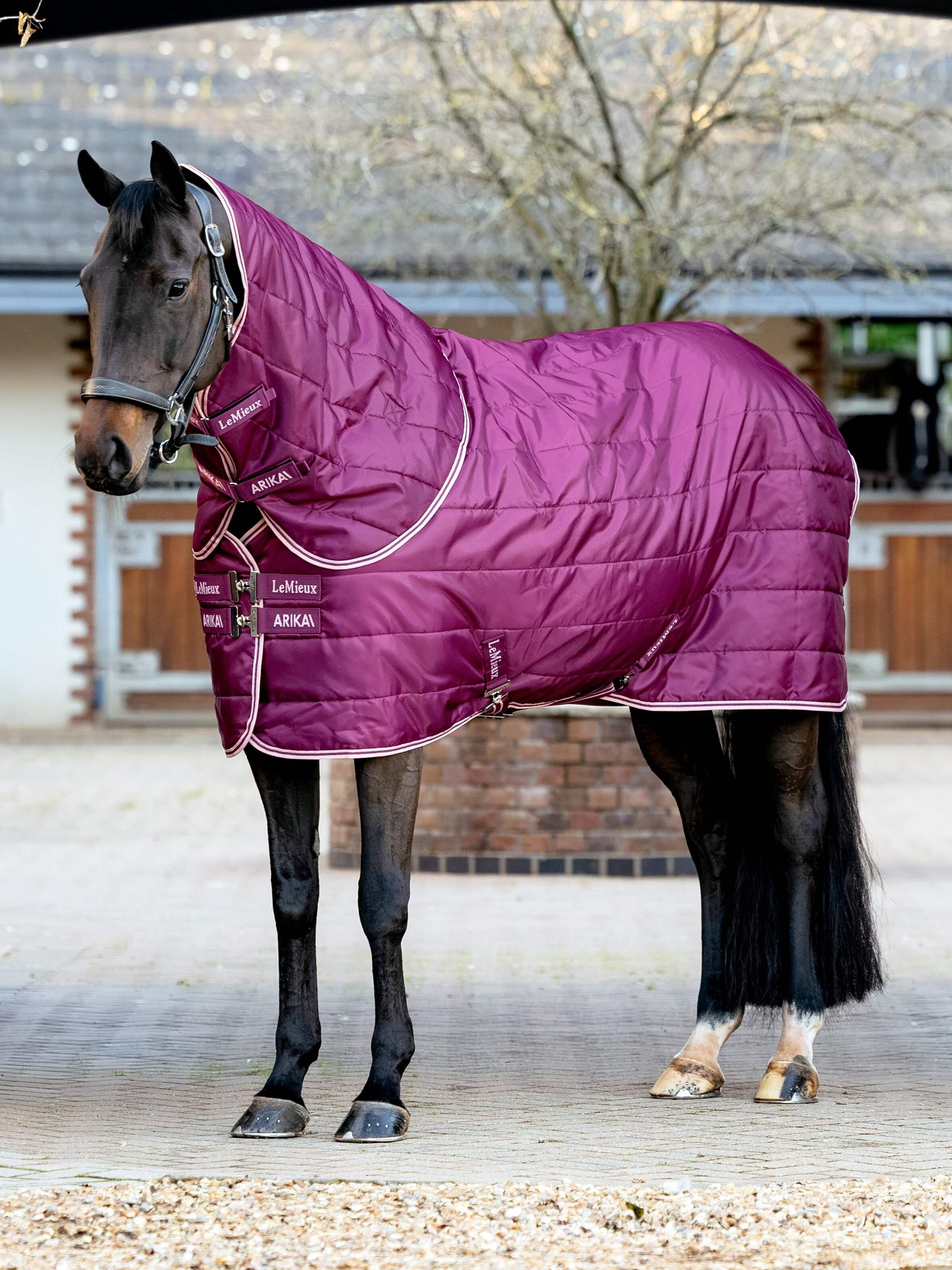 Arika Stable-Tek with Neck 200g Blackberry