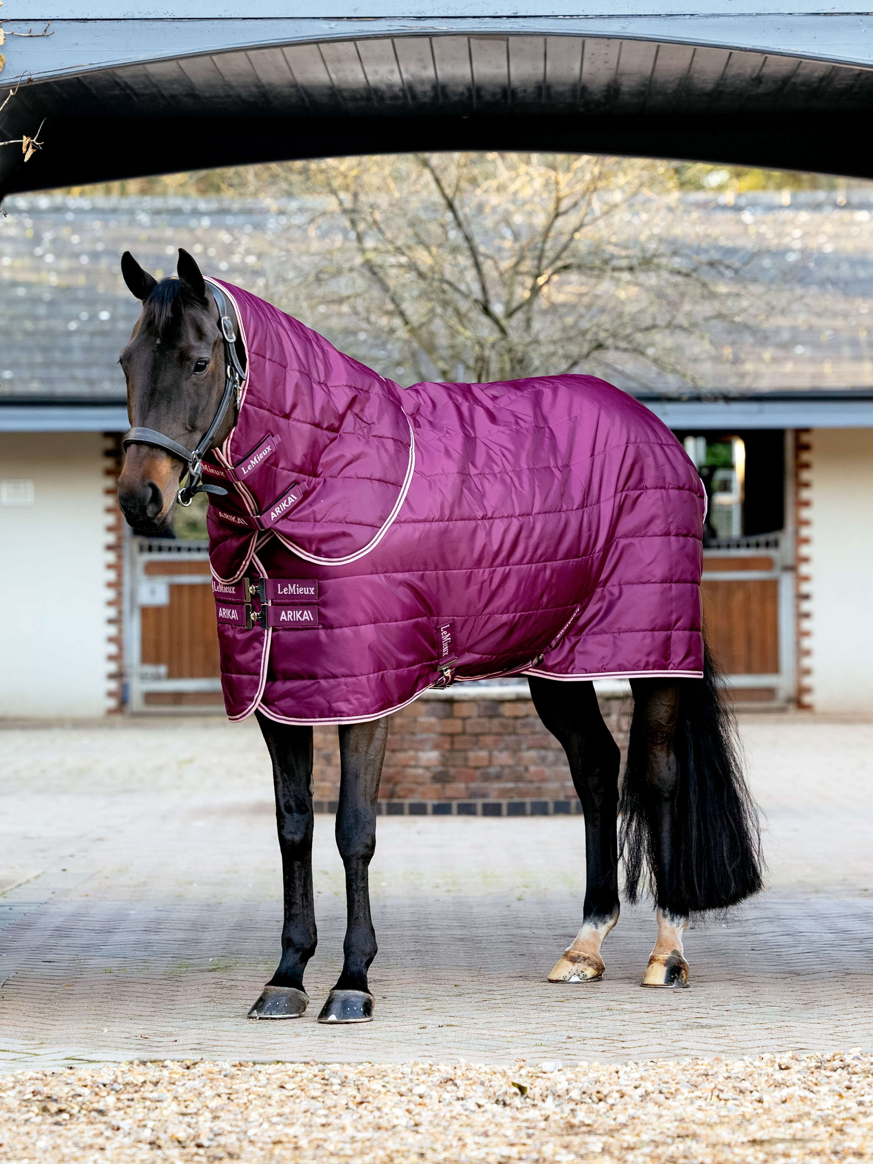 Arika Stable-Tek with Neck 100g Blackberry