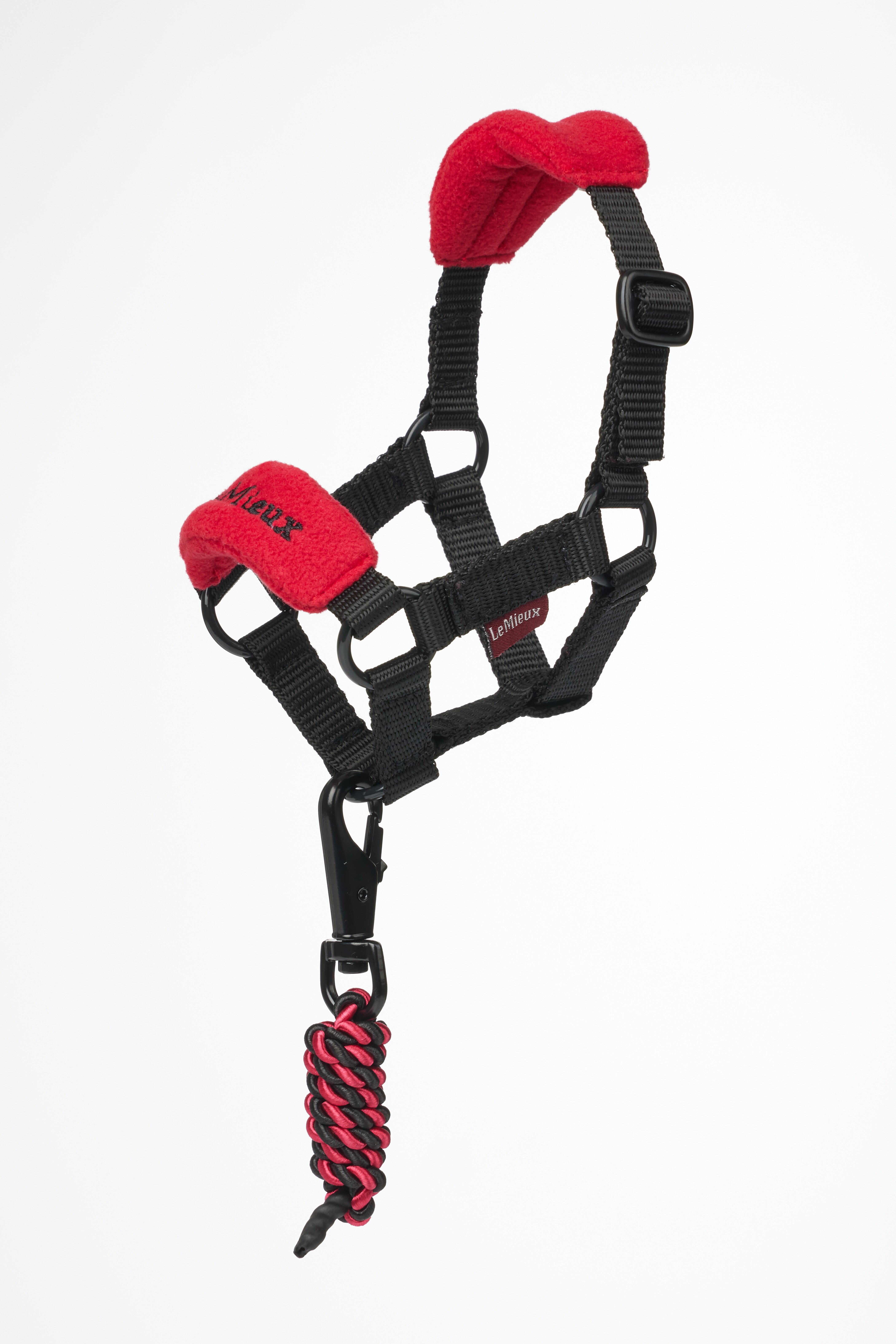 Toy Pony Vogue Halter Chilli Toys