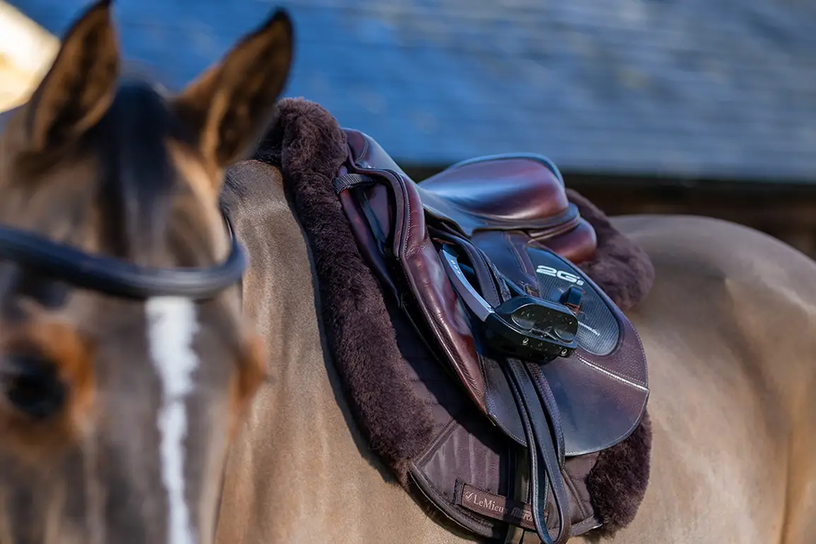 Tapis De Selle LeMieux Noir - Coton - Occasion Bon état