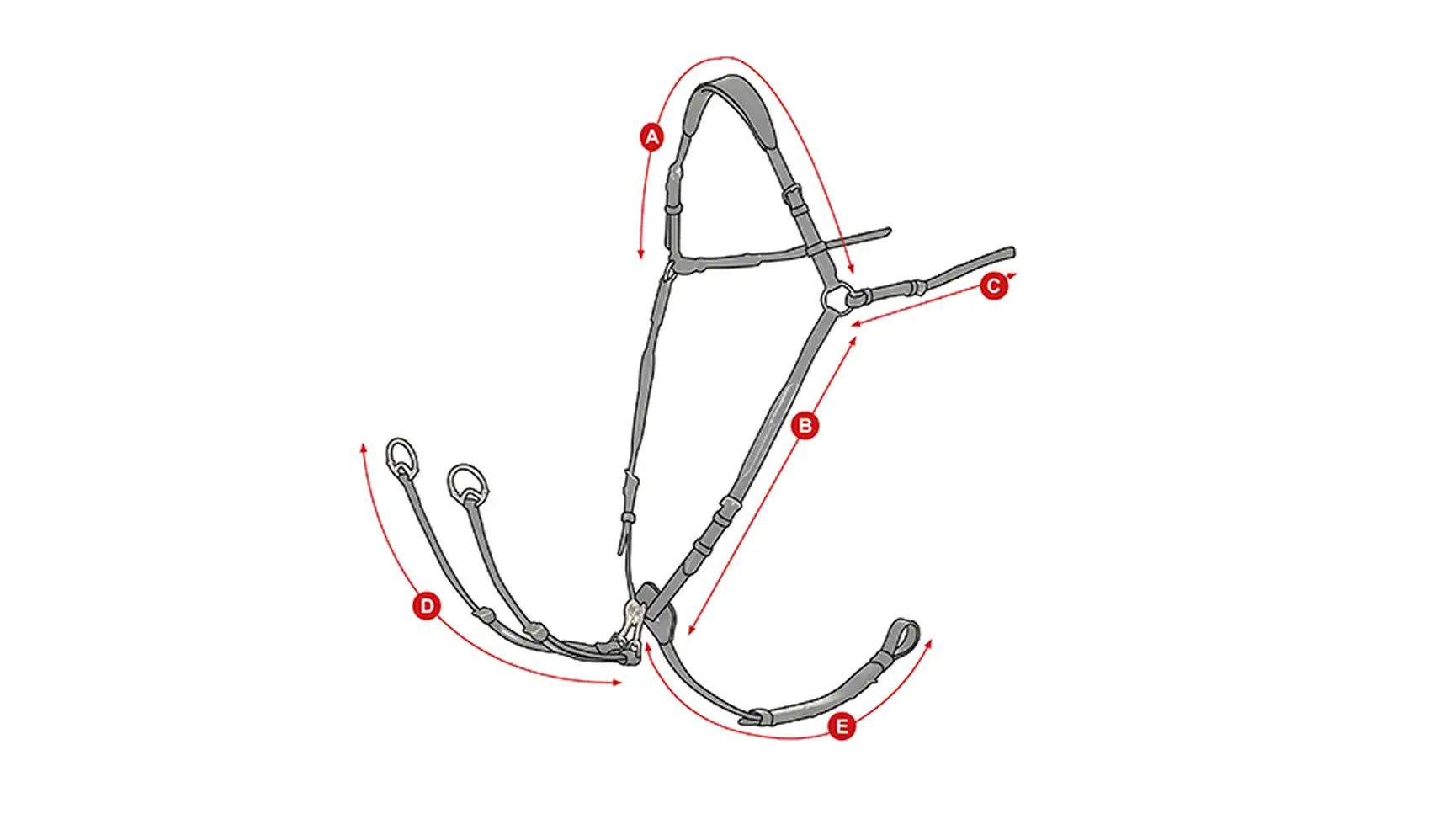 Breastplate measurement diagram showing points A, B, C, D, and E