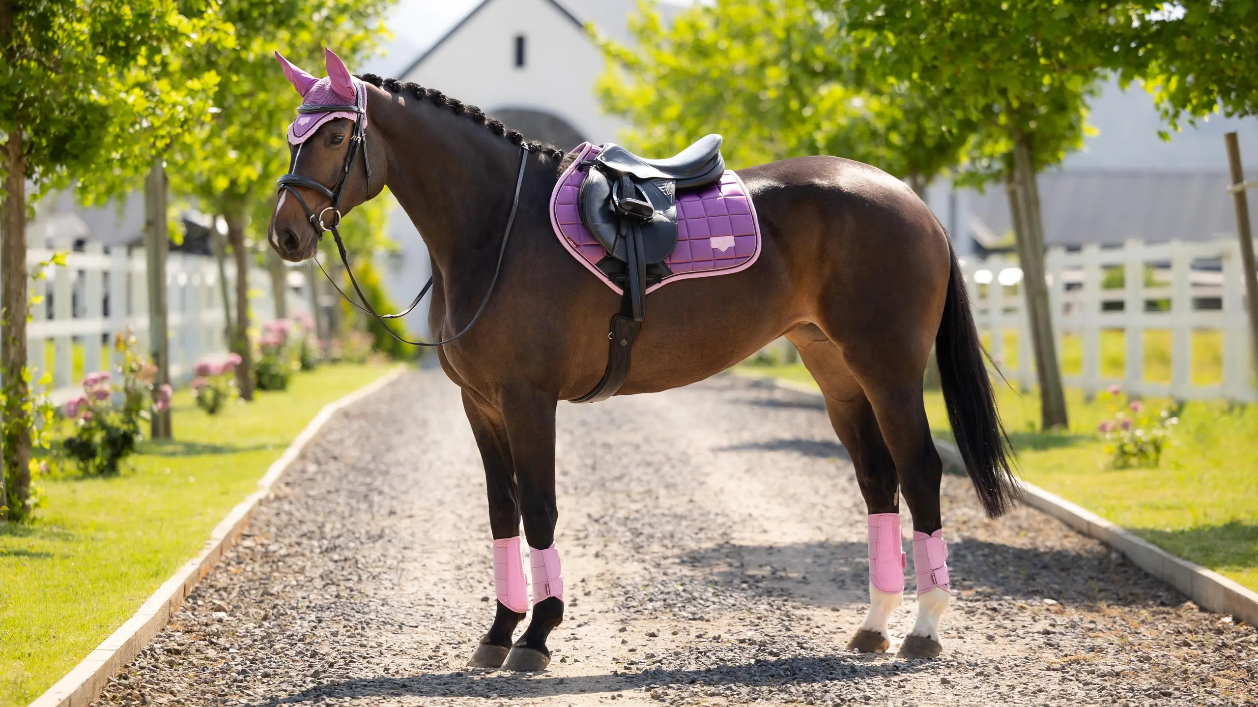 Loire Classic Close Contact Square Mallow Saddle Pads