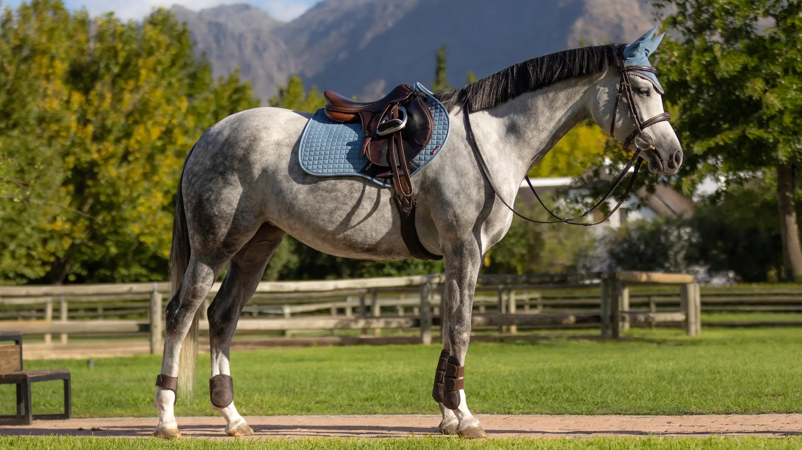 LeMieux Suede Close Contact Saddle Pad - Navy Square Cut For Jumping Saddles, Large