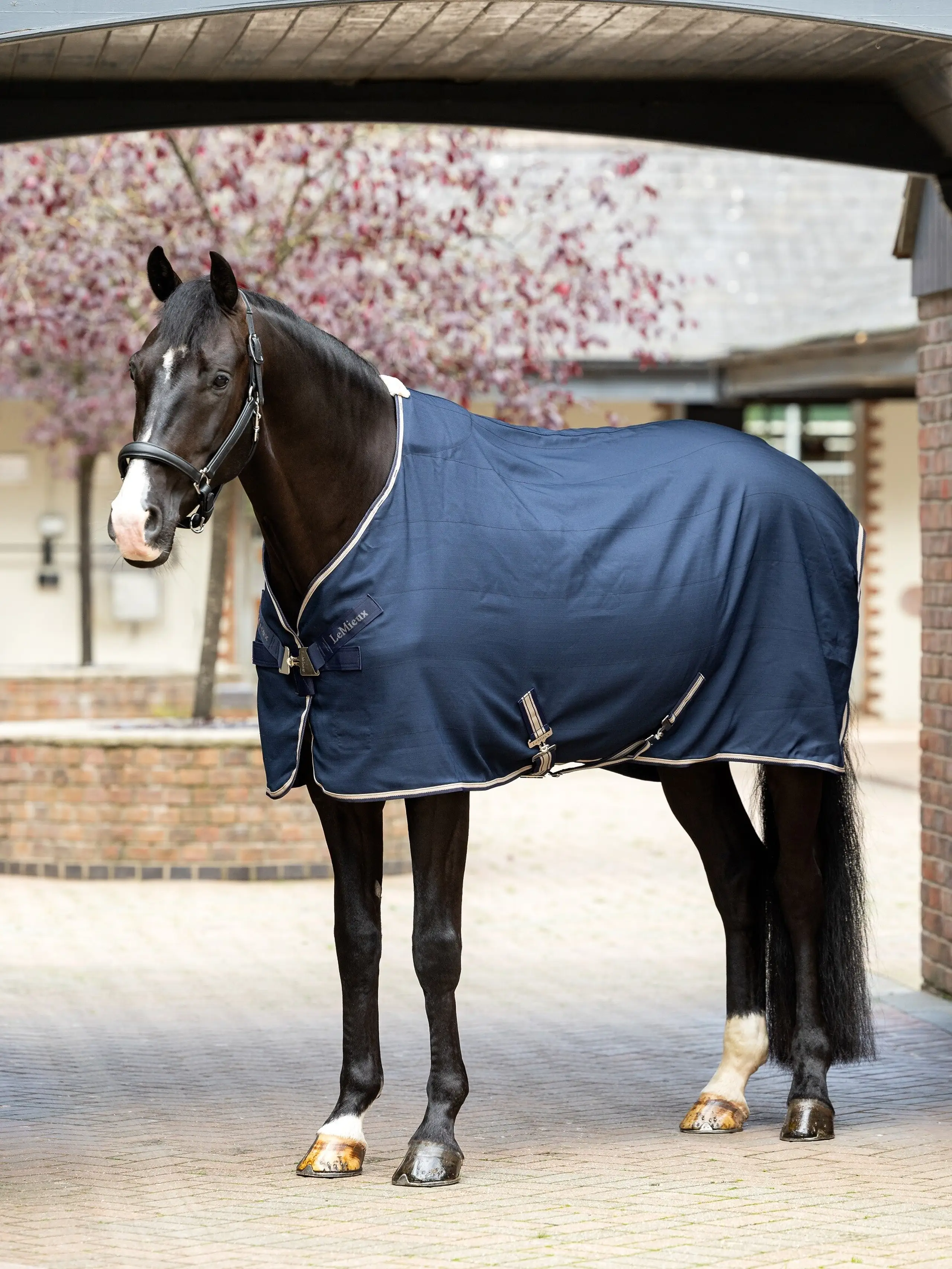 Arika Stable-Tek Neck Cover 100g Navy Horse