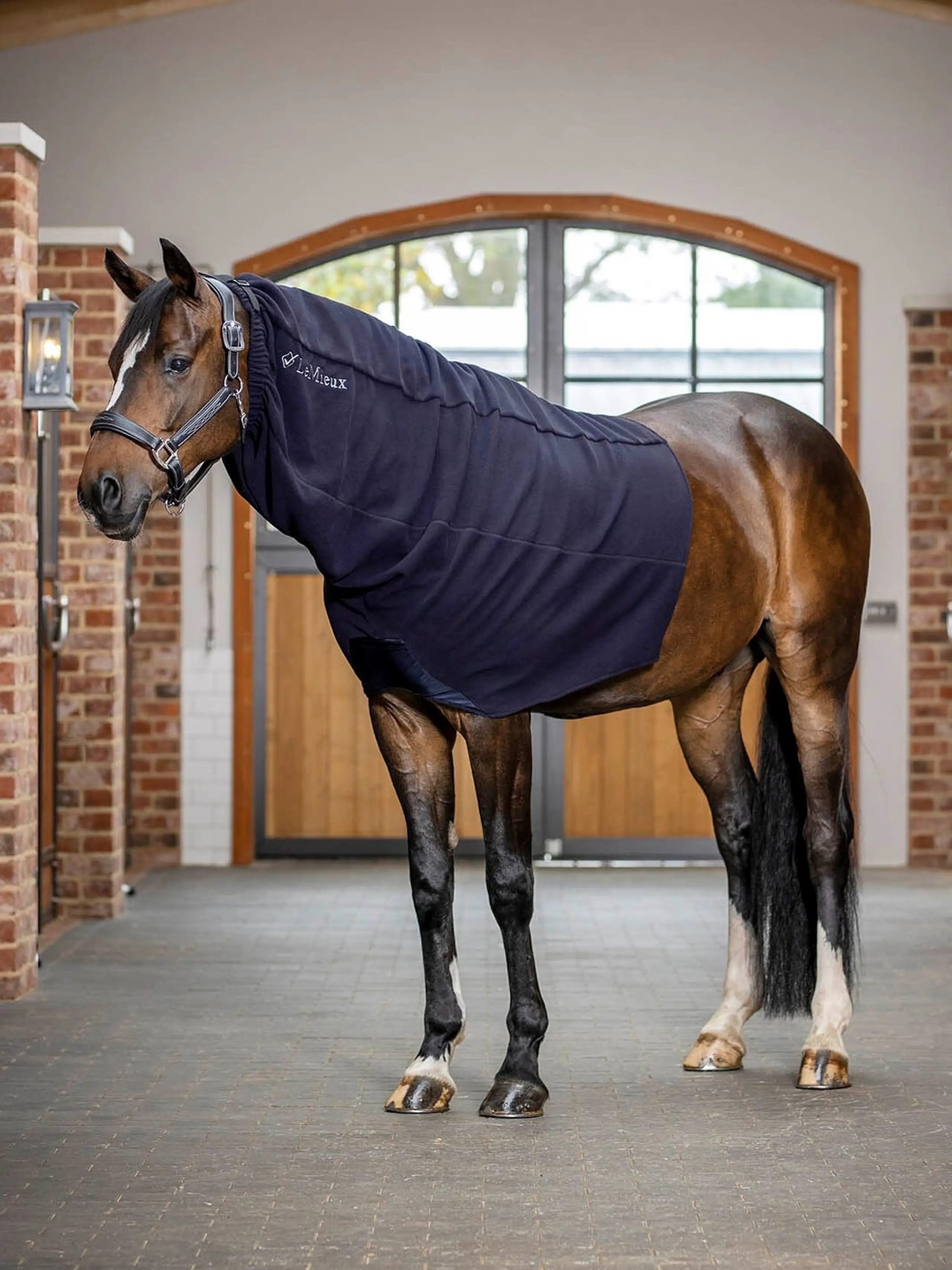 LeMieux Lycra Hood – Anatomische Pferde-Kopfhaube Mit YKK-Reißverschluss