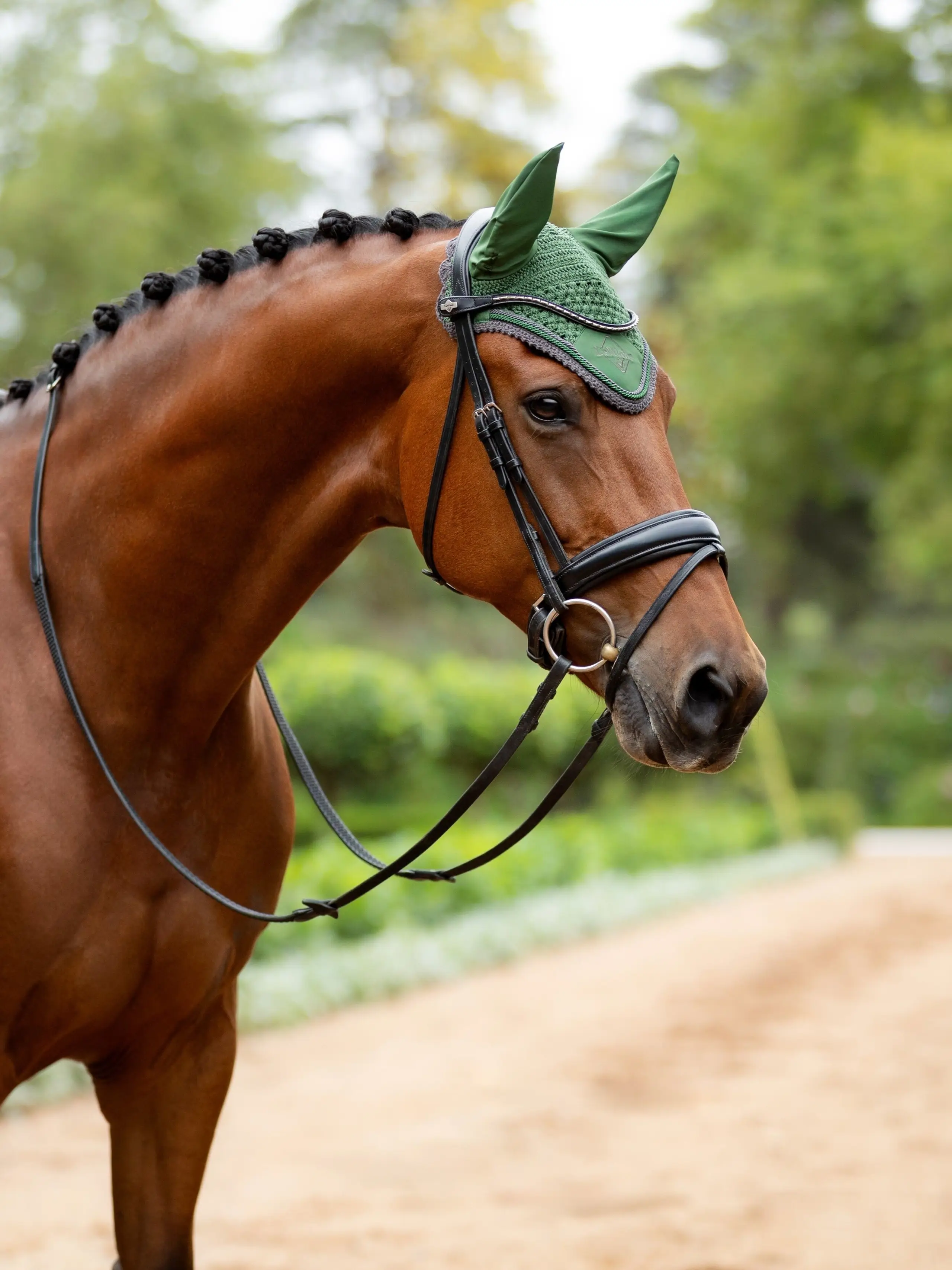 Classic Ear Bonnet Hunter Green Horse