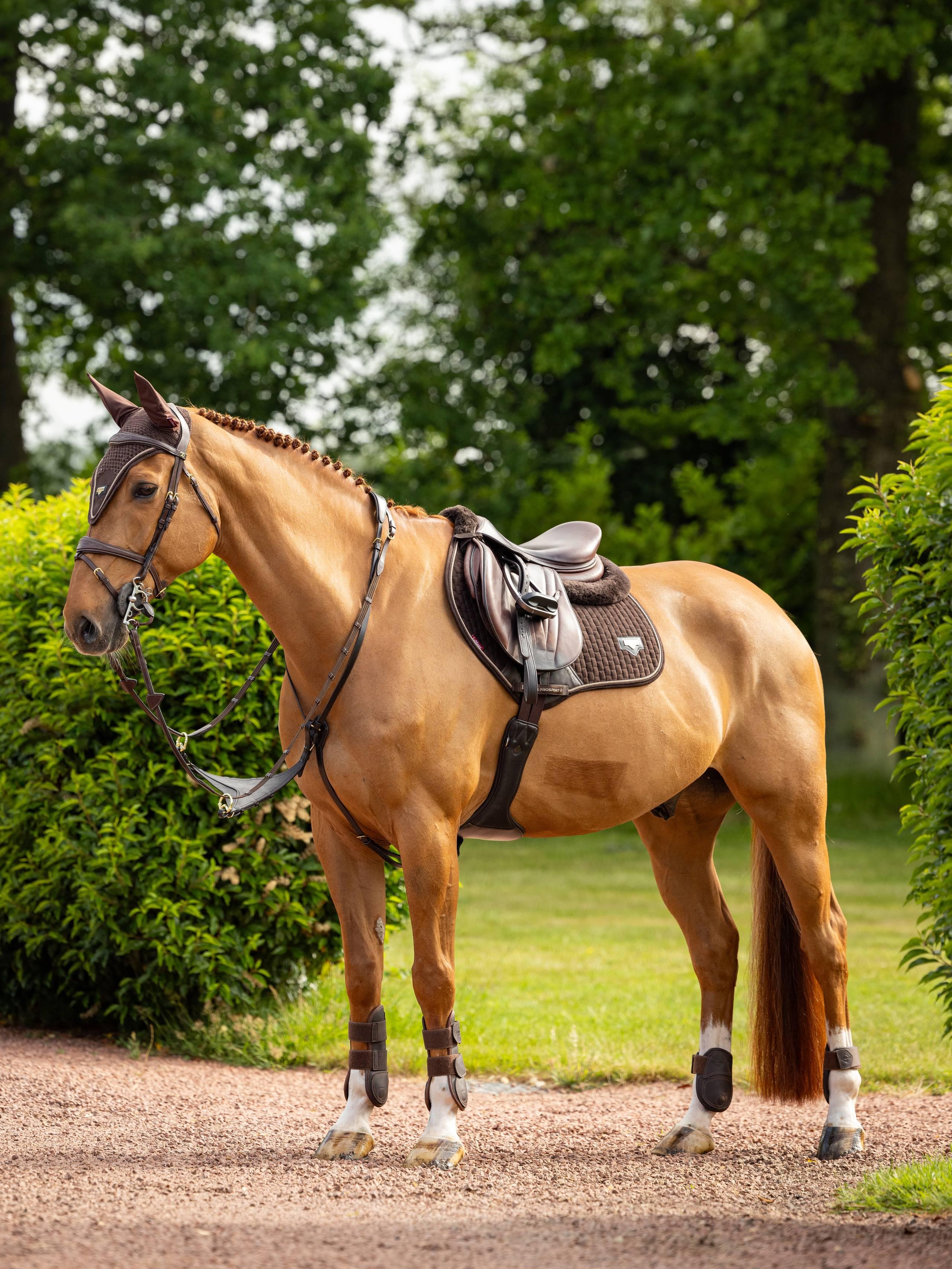 Puissance Suede Close Contact Square Brown Saddle Pads