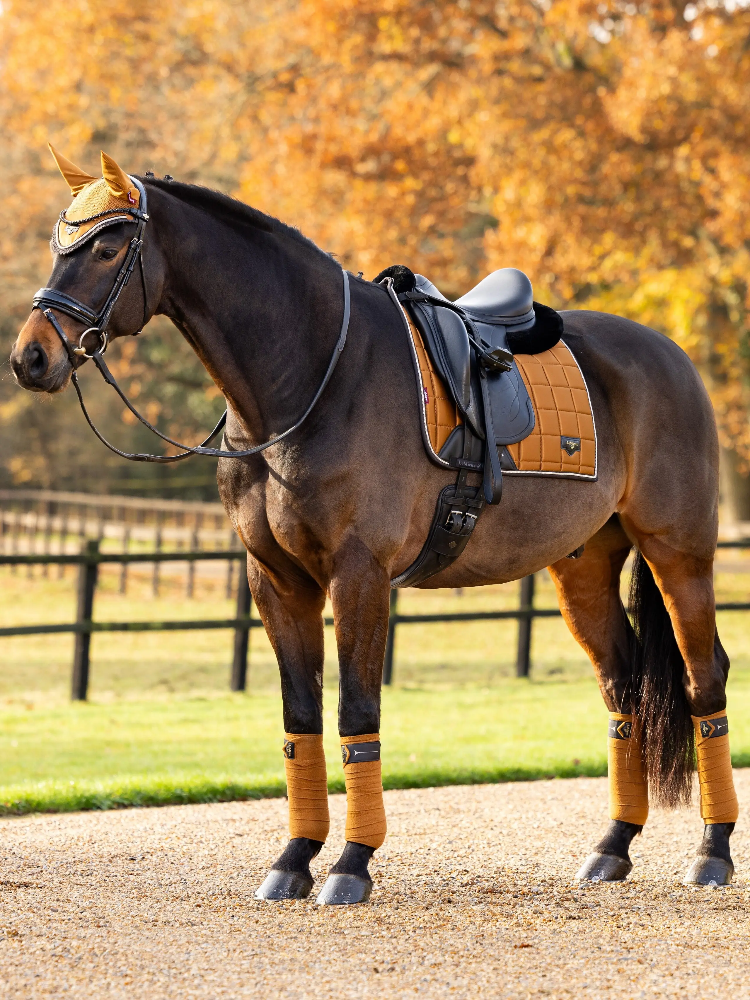 Tapis de selle pour cheval large daim LeMieux GP Square - peacock - S/M