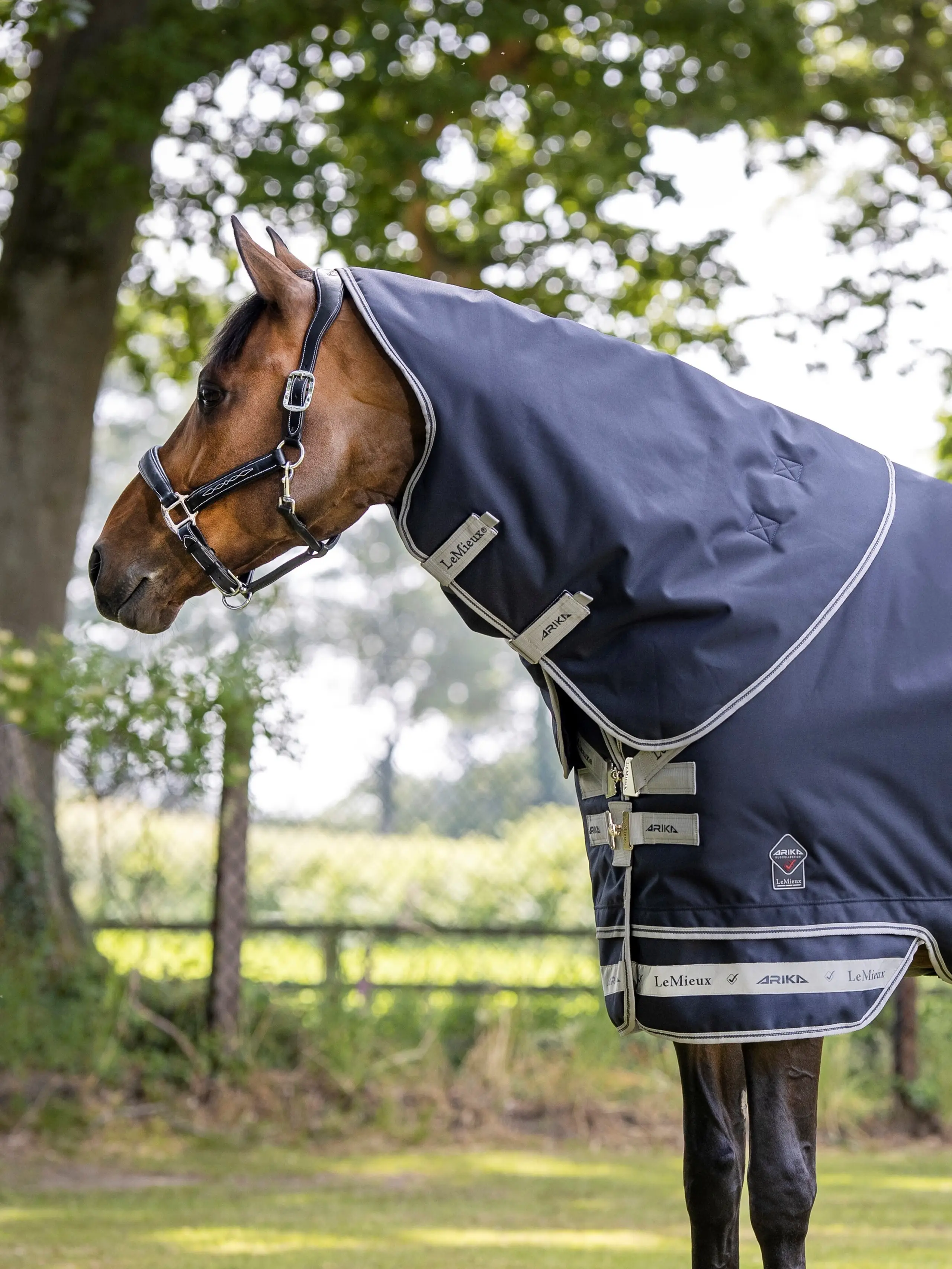 Arika Storm-Tek Rug 50g Navy New