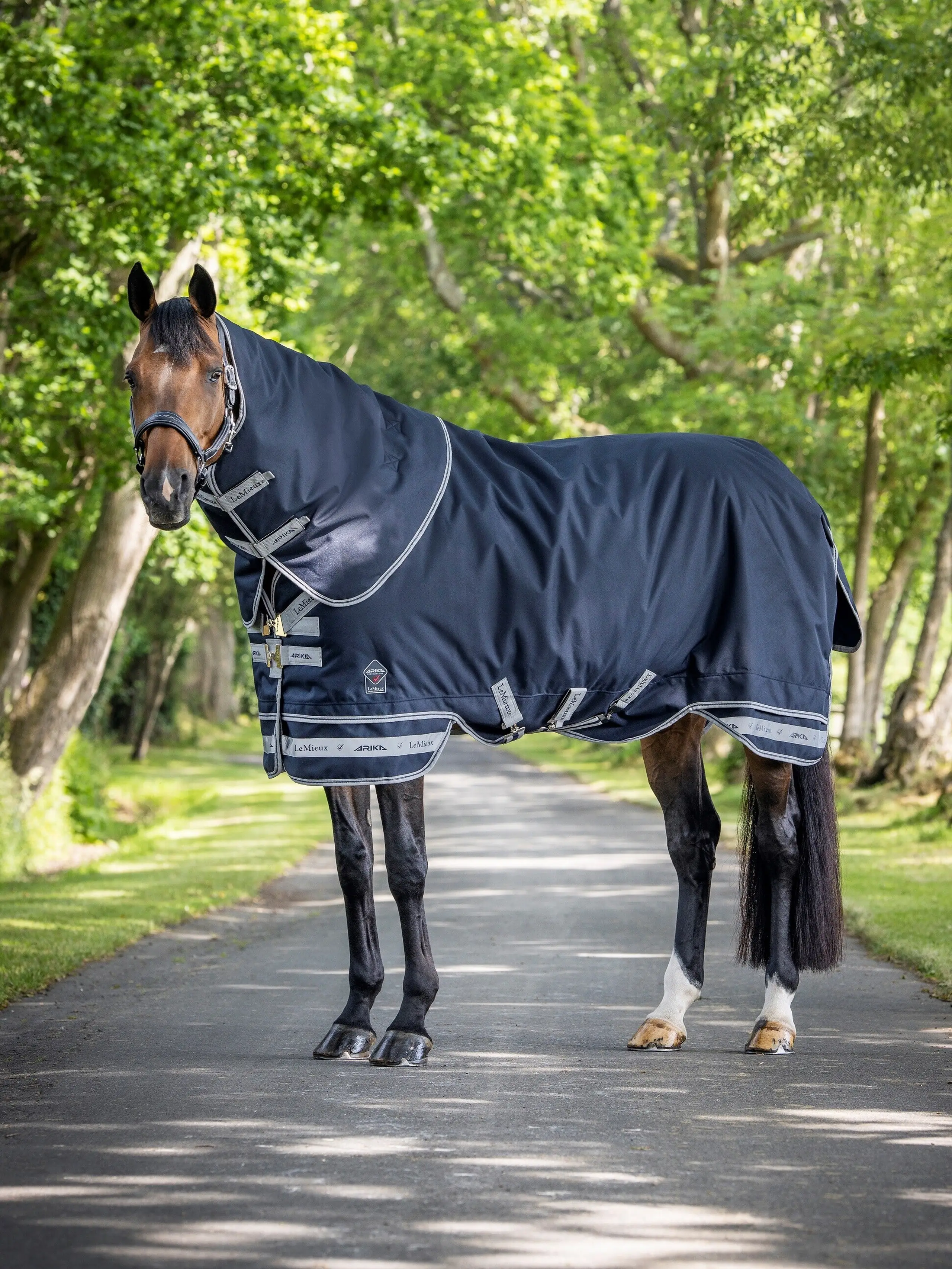 Arika Storm-Tek Blanket 100g Navy Horse