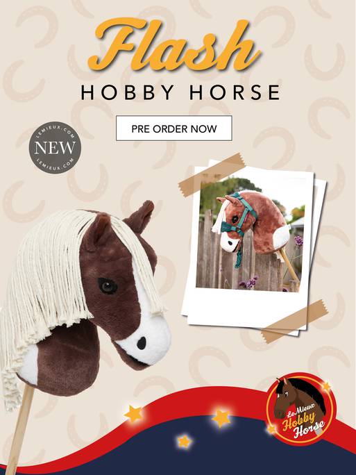 LeMieux hobby horse Flash - pre order – HorseworldEU