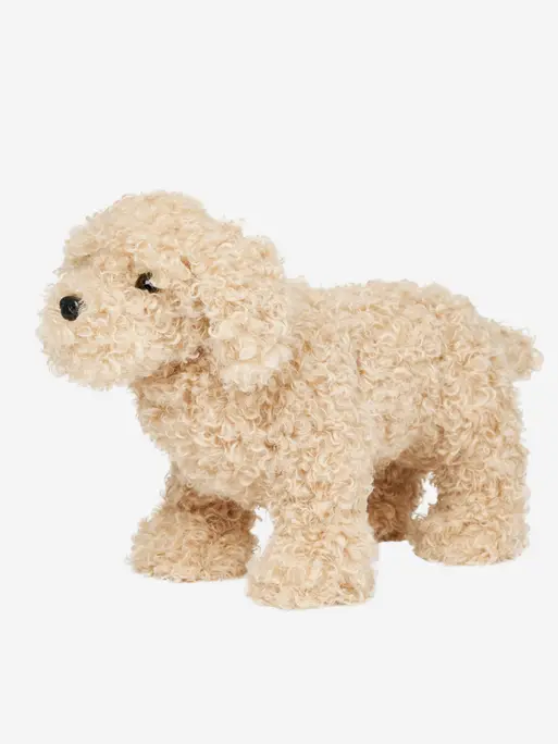 Cockapoo White