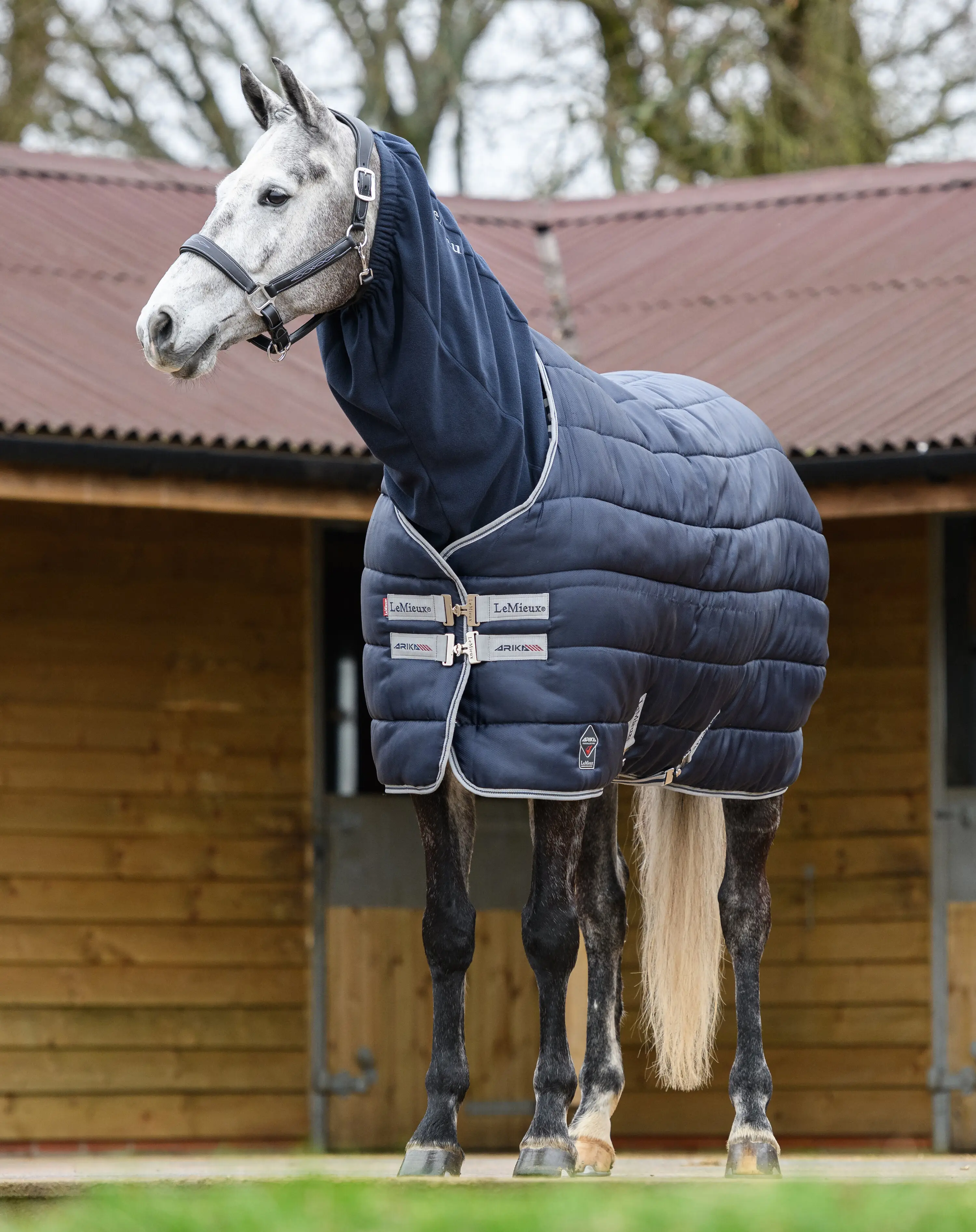 LeMieux Arika Liner - SmartPak Equine
