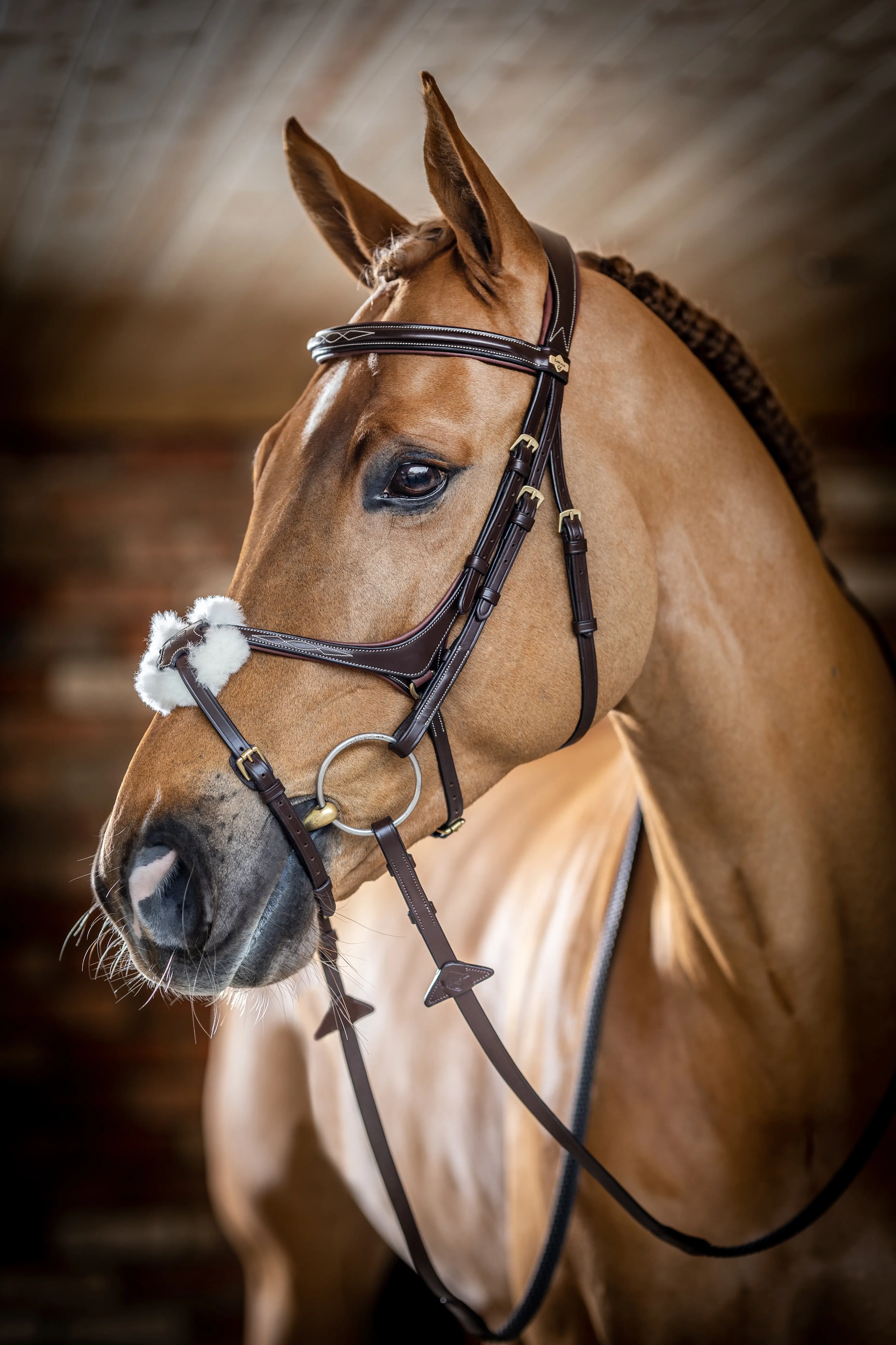 Kudos Grackle Bridle Havana New