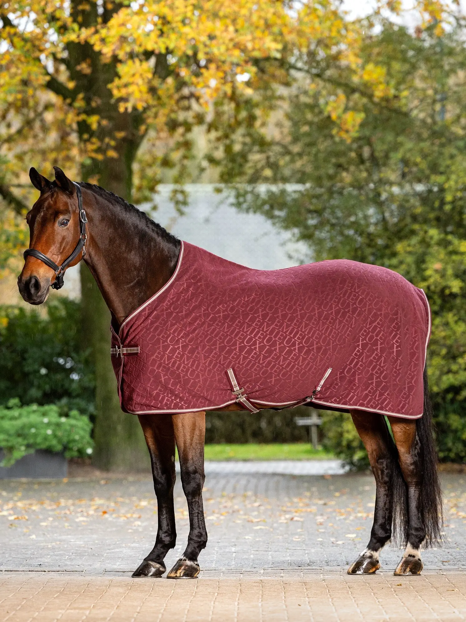 LeMieux Arika Tappeto In Pile Per Cavallo - Monogramma, Antistatico - Blu Navy - 1,8 M