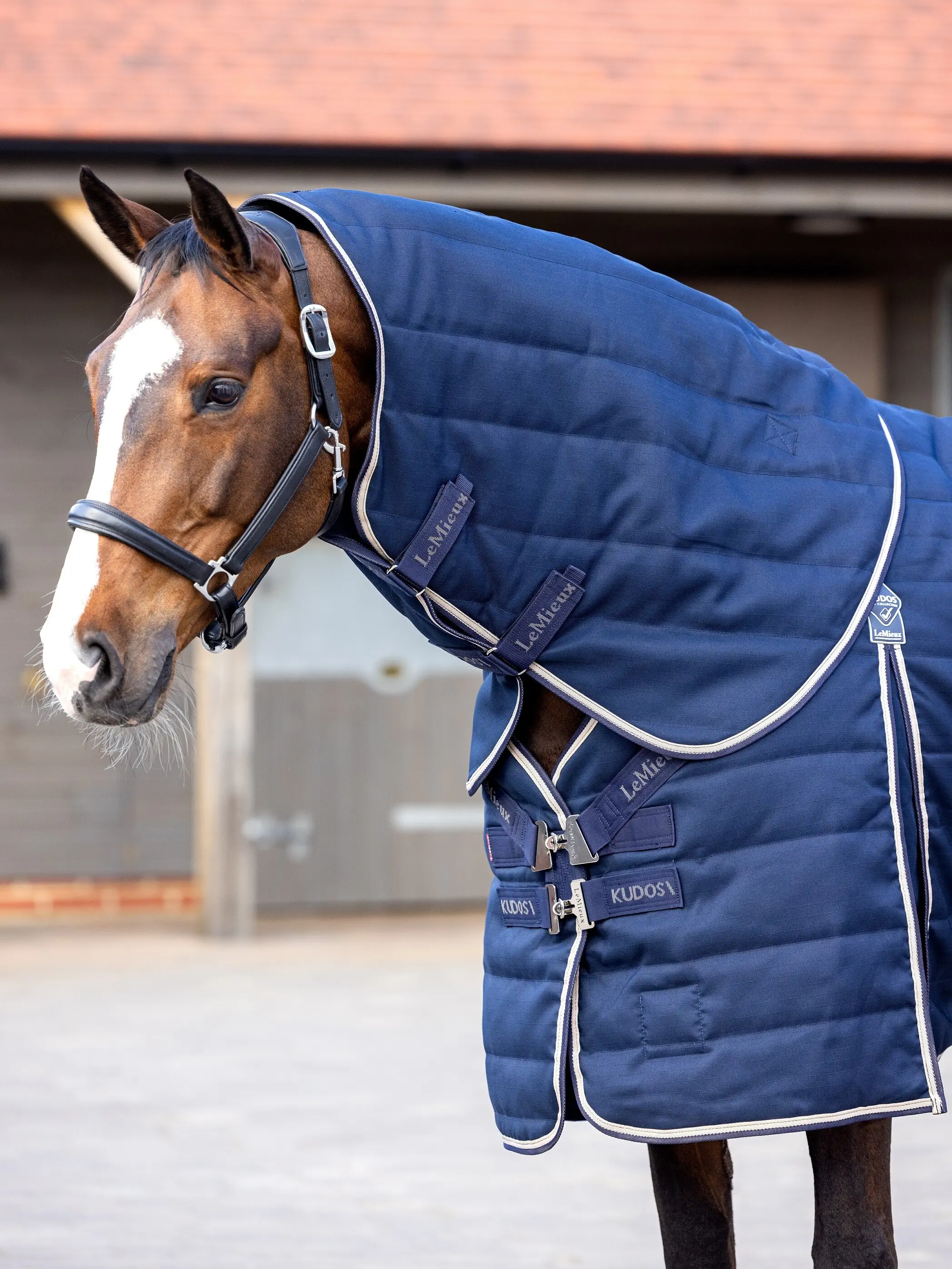 Arika Stable-Tek Neck Cover 100g Navy Horse