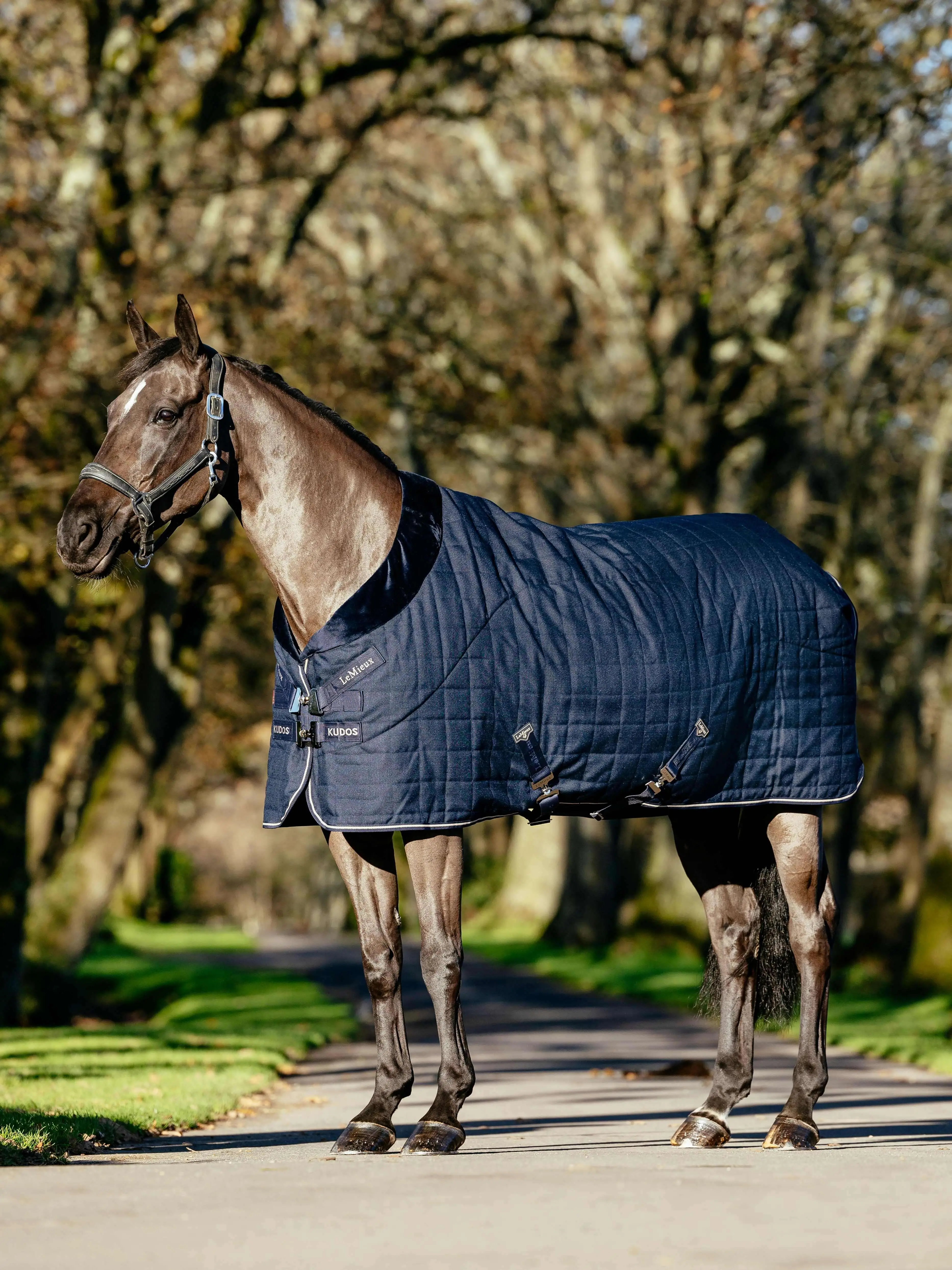 Arika Stable-Tek 200g Navy Horse