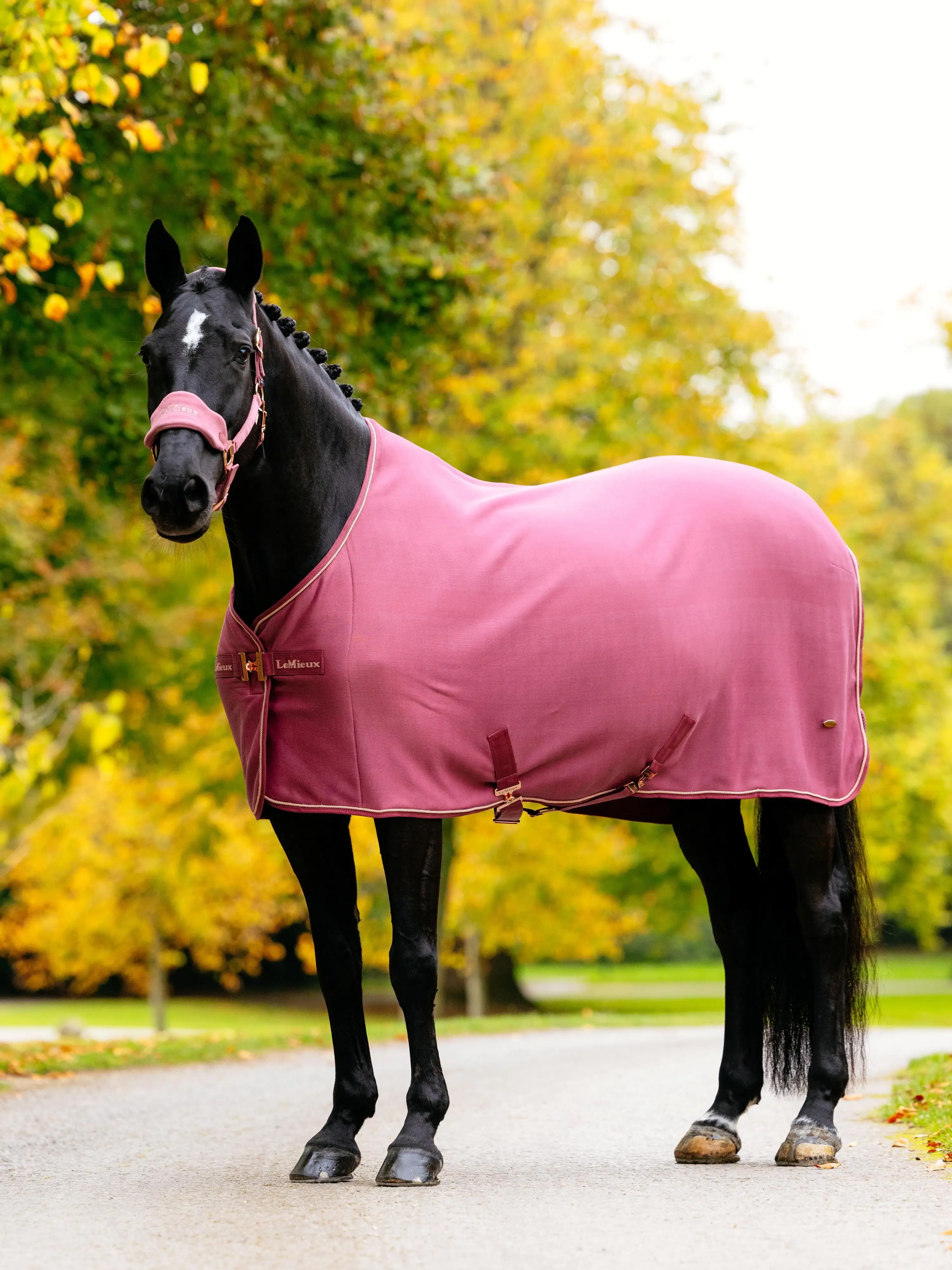 LeMieux　馬着　バンブークーラー　馬　ラグ　EU145　ステーブルラグ Kudos Fleece Cooler Blanket Black New