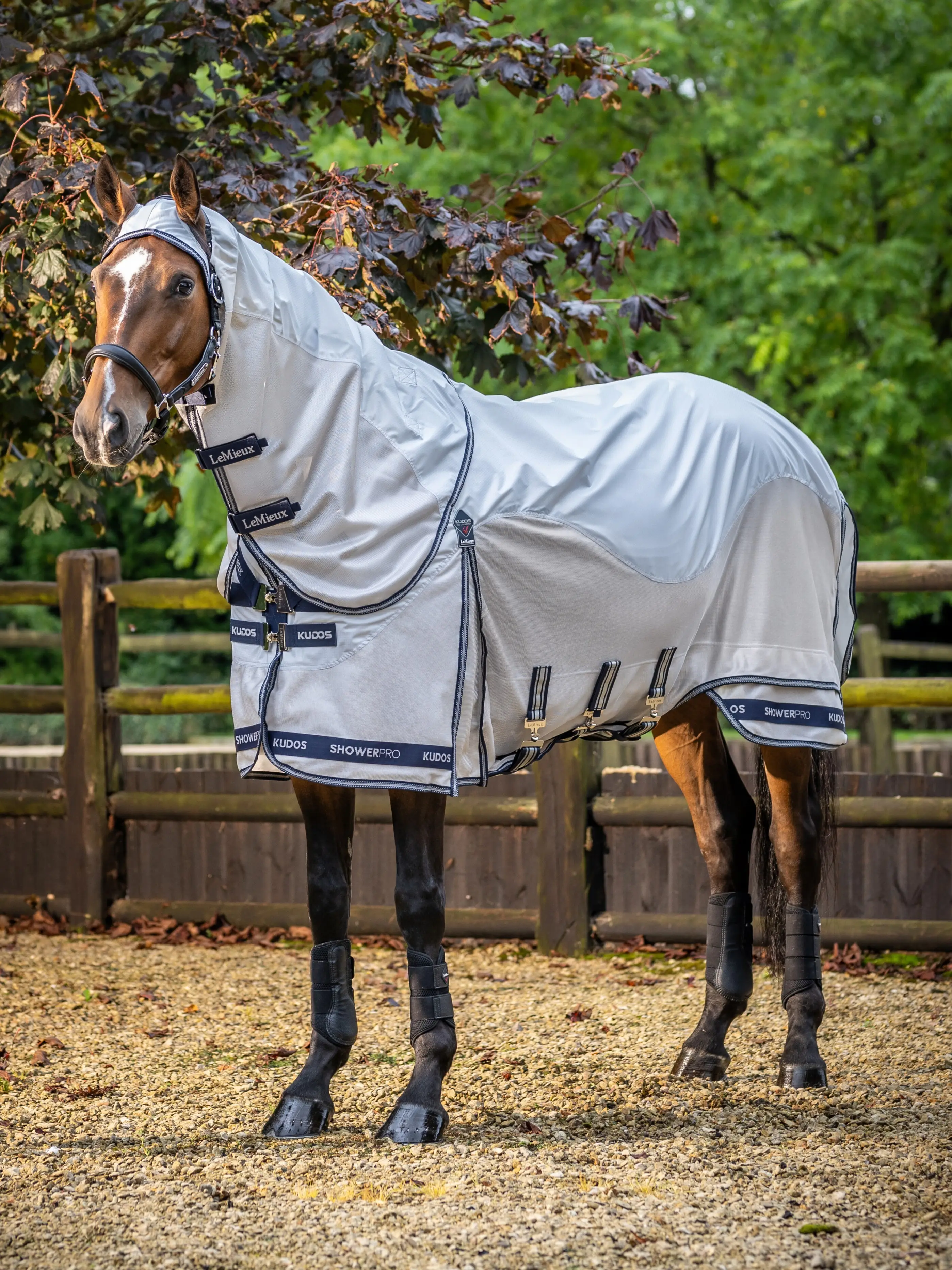 Chemise D'équitation LeMieux Adrina, Bleu Marine, Taille Extra Small, Neuve Avec étiquettes
