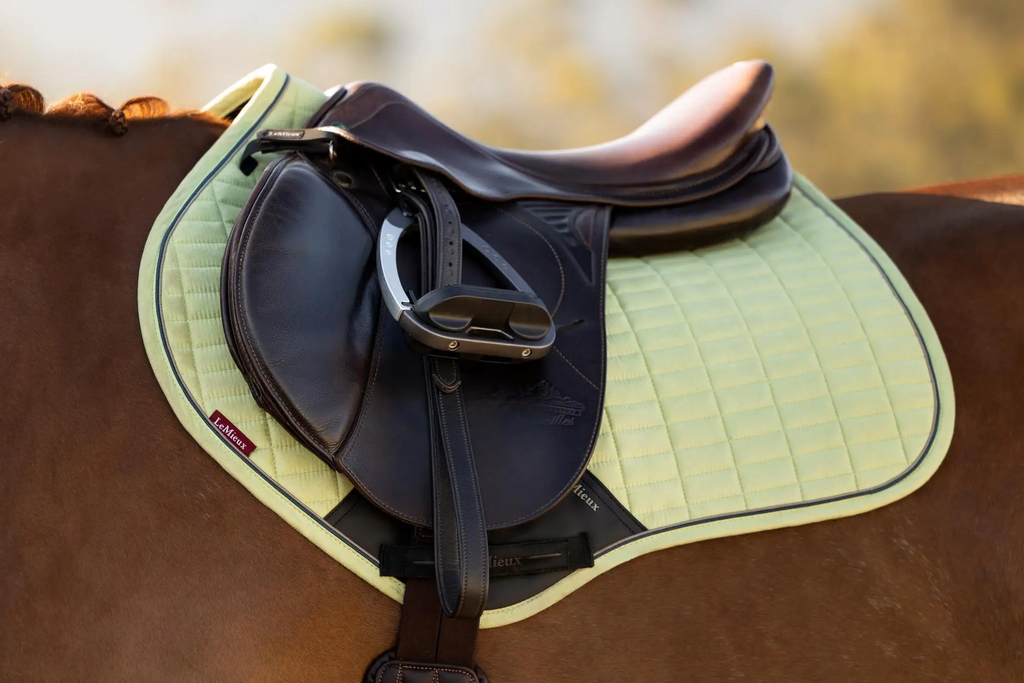 Housse De Selle Imperméable LeMieux - Neuf (défaut Mineur Possible)