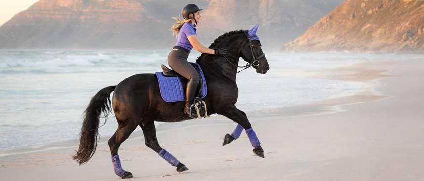 Coussin De Dressage LeMieux Earth Collection – Violet Chardon – Grand Modèle