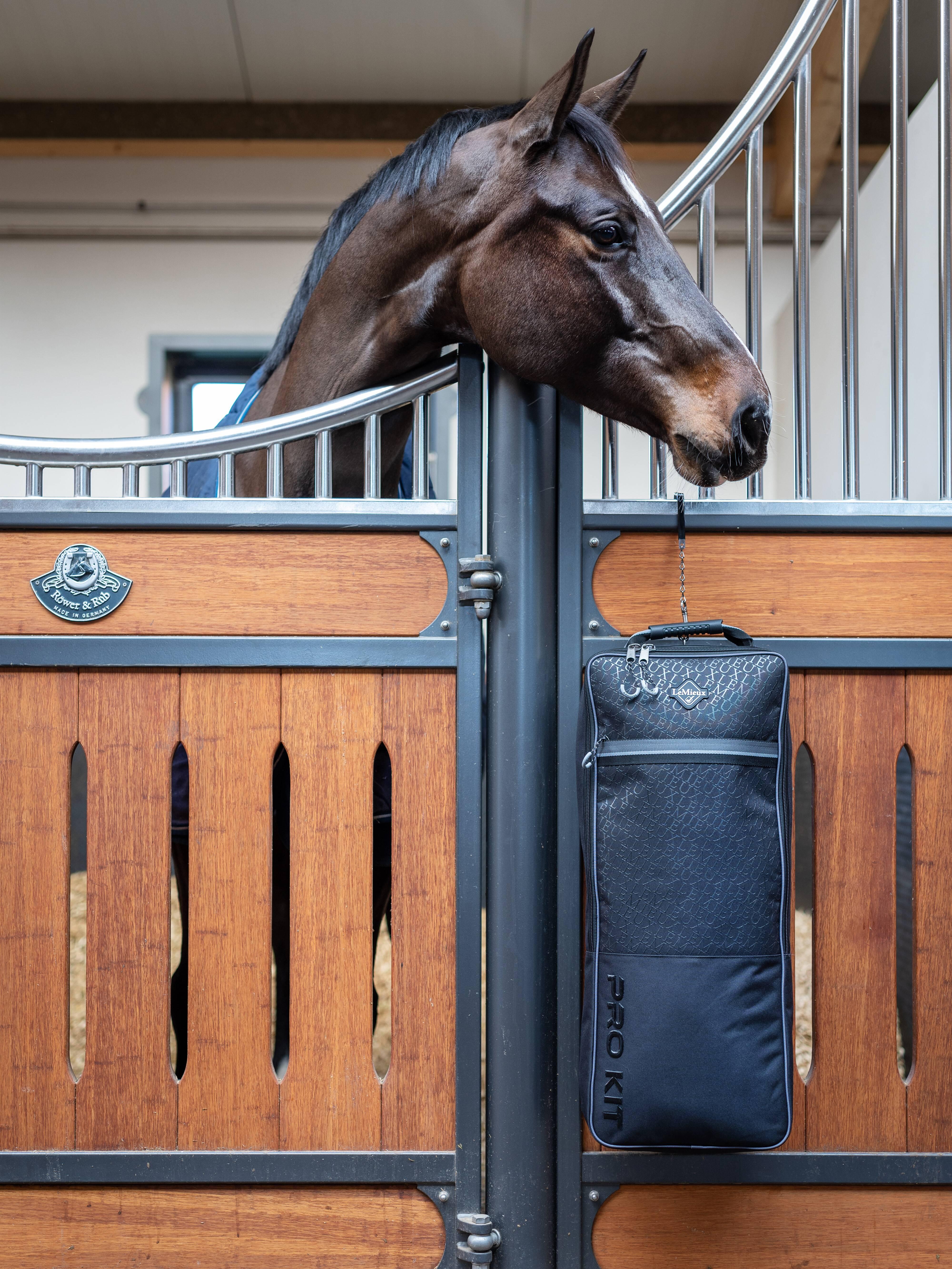 BRIDLE BAG　頭絡バッグ　ラック ブライドルバッグ　乗馬　馬術 kind-all_40127-1