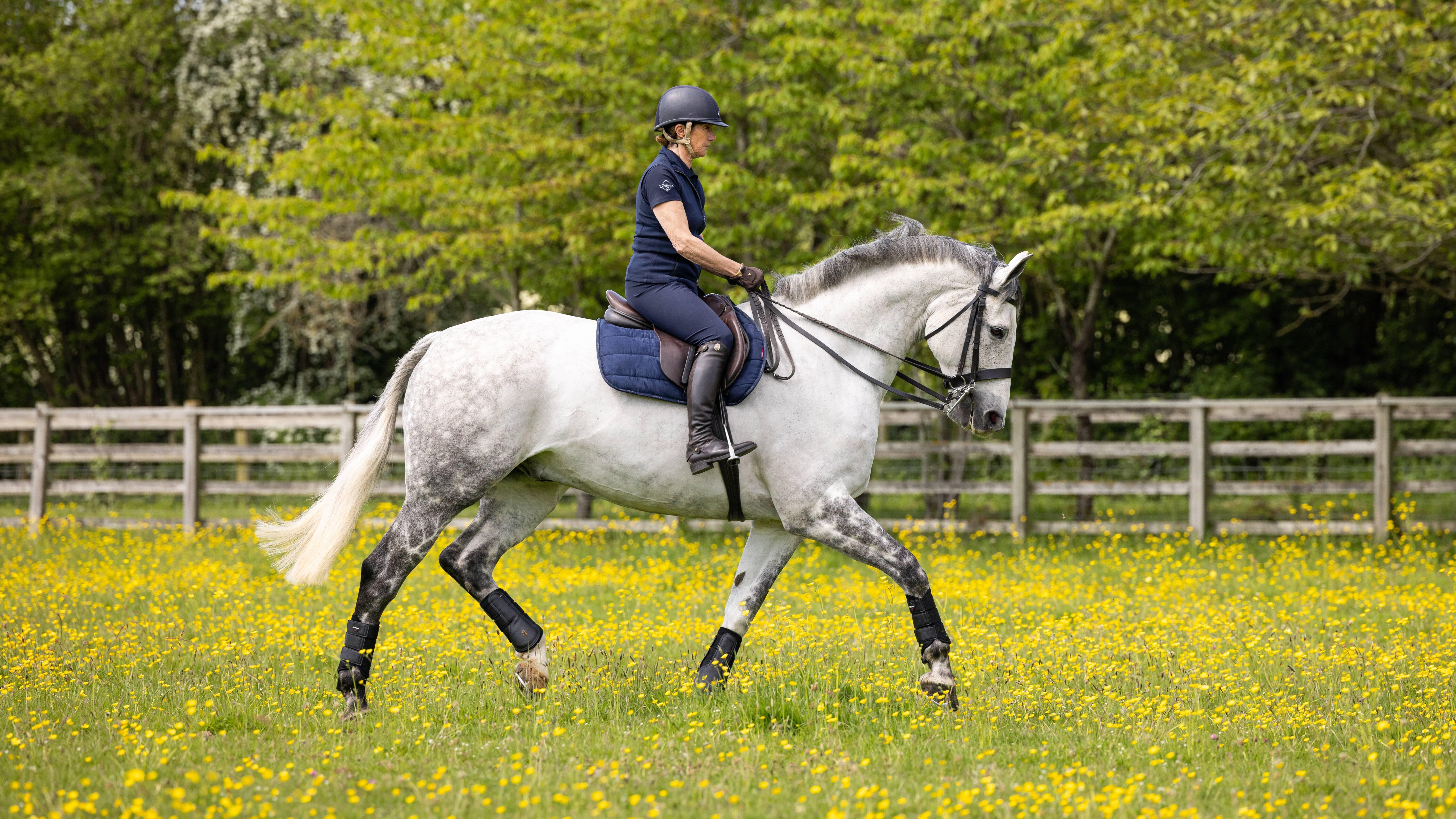 GP Work Pad Navy Saddle Pads