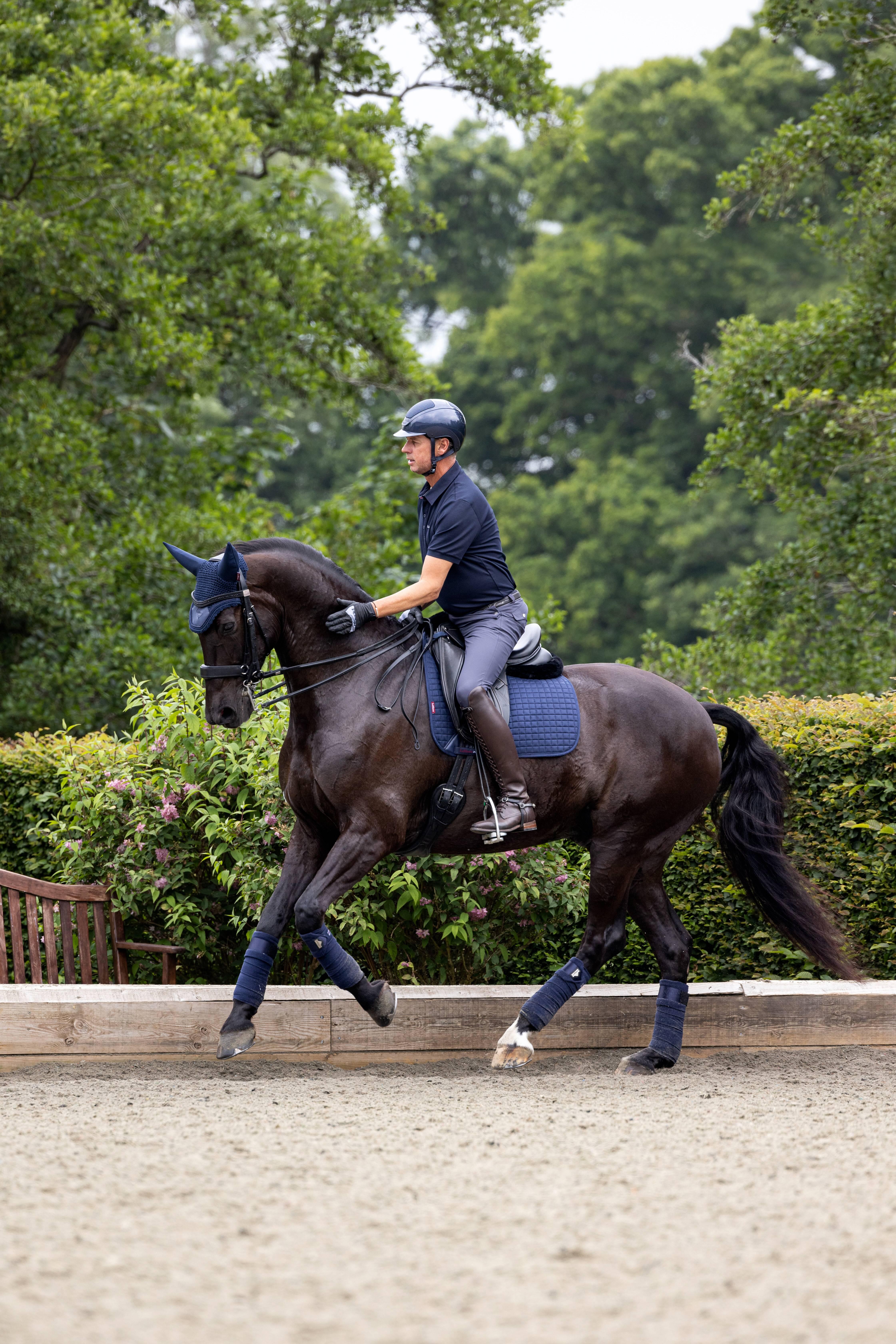 Sella LeMieux ProSport Dressage Scamosciata Quadrata - Blu Navy Con D-Rings E Garrese Alto