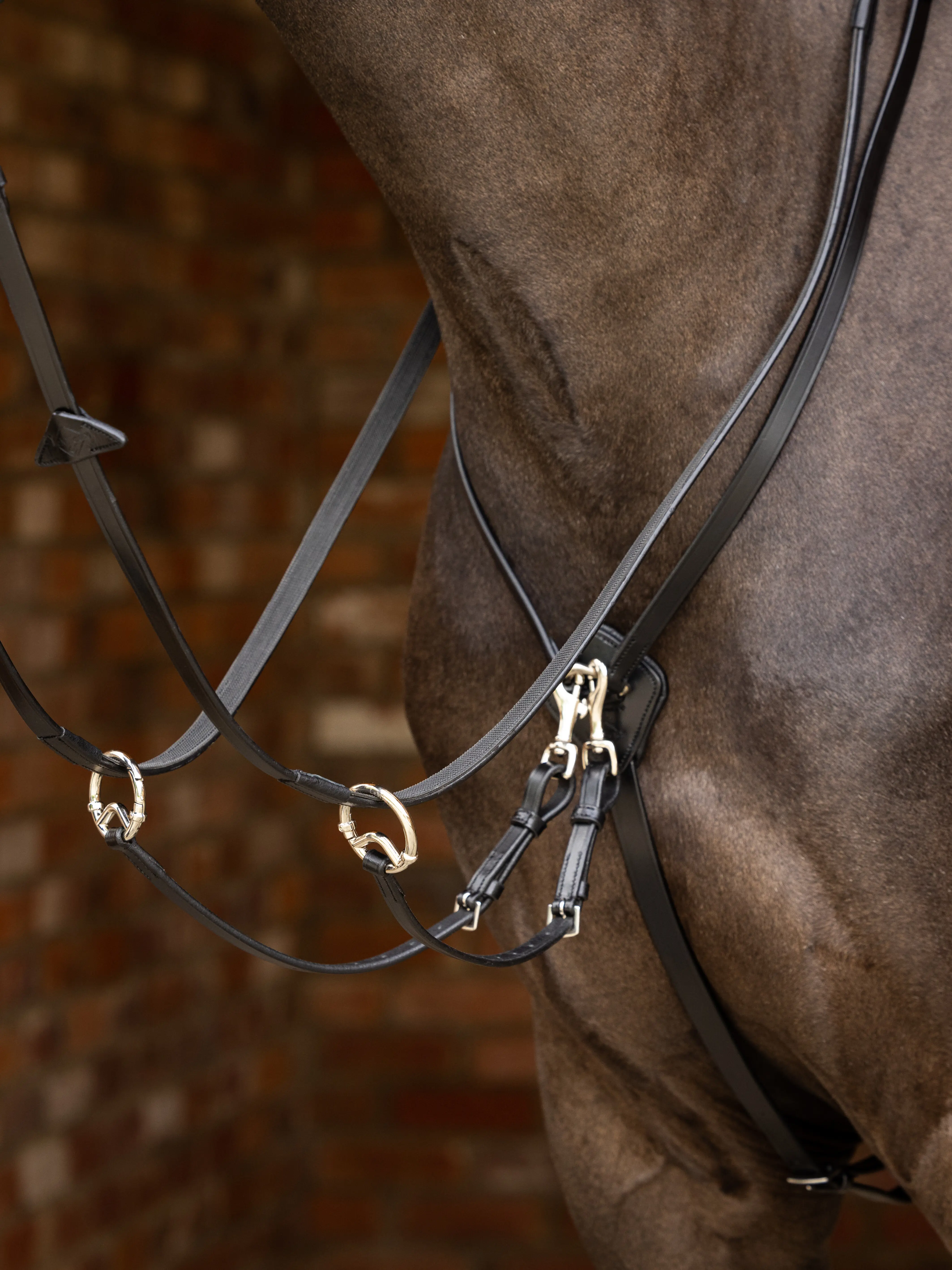 Collier de chasse avec martingale