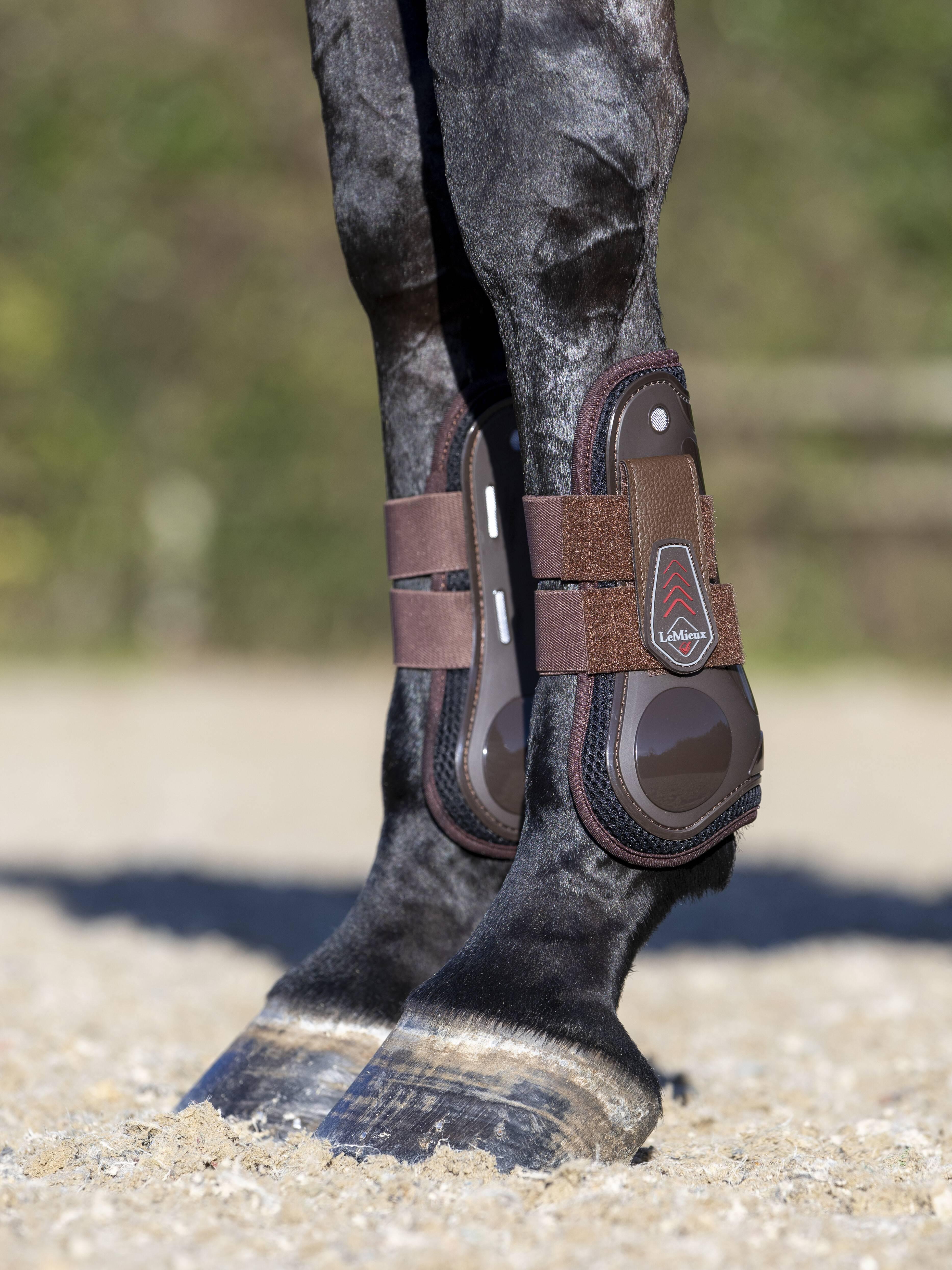 乗馬　LeMieux Derby  Tendon Boots  サイズL LeMieux® Derby ProJump Horse Tendon Boots