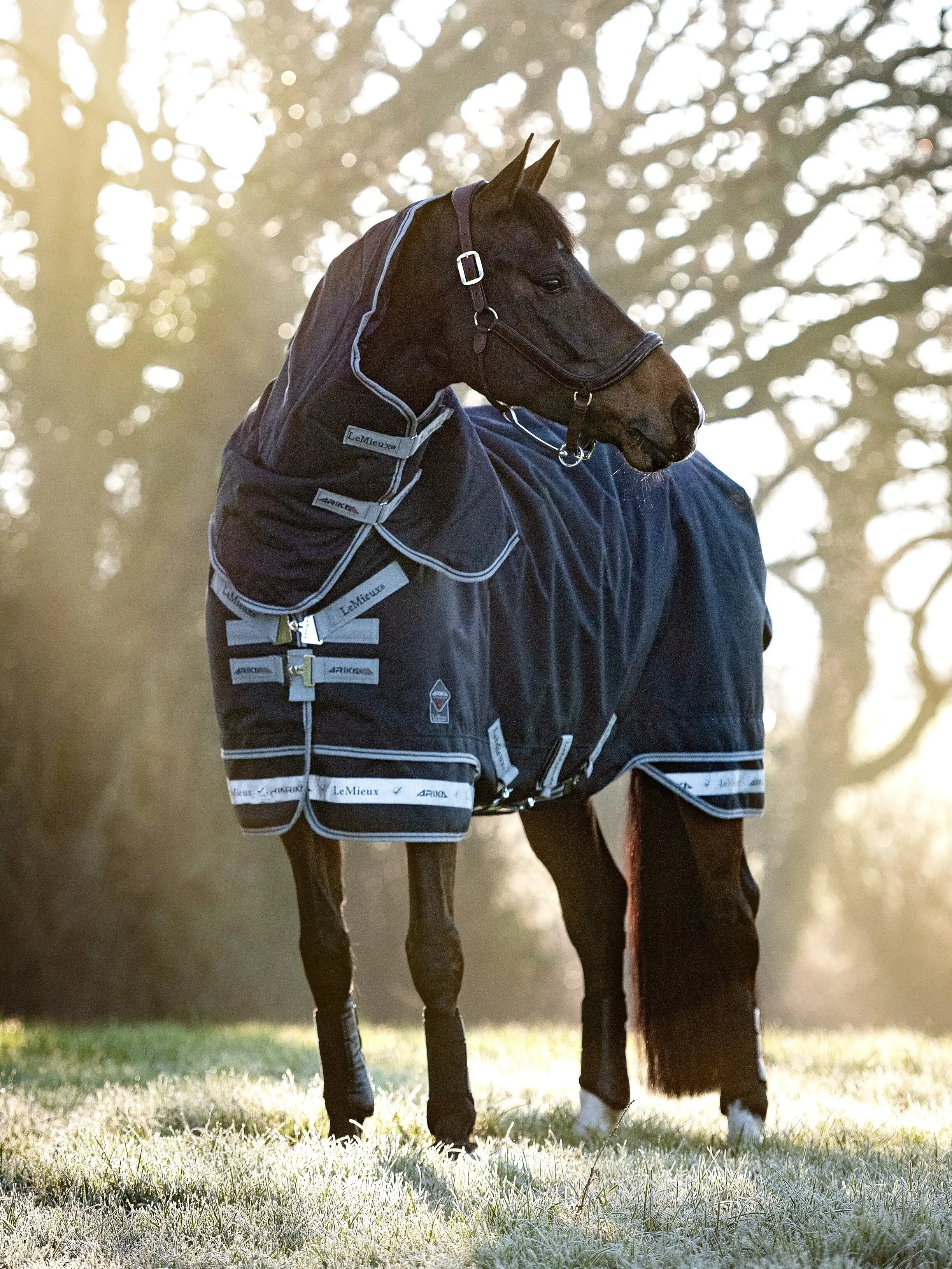 Arika Storm-Tek Blanket 350g Navy Outlet