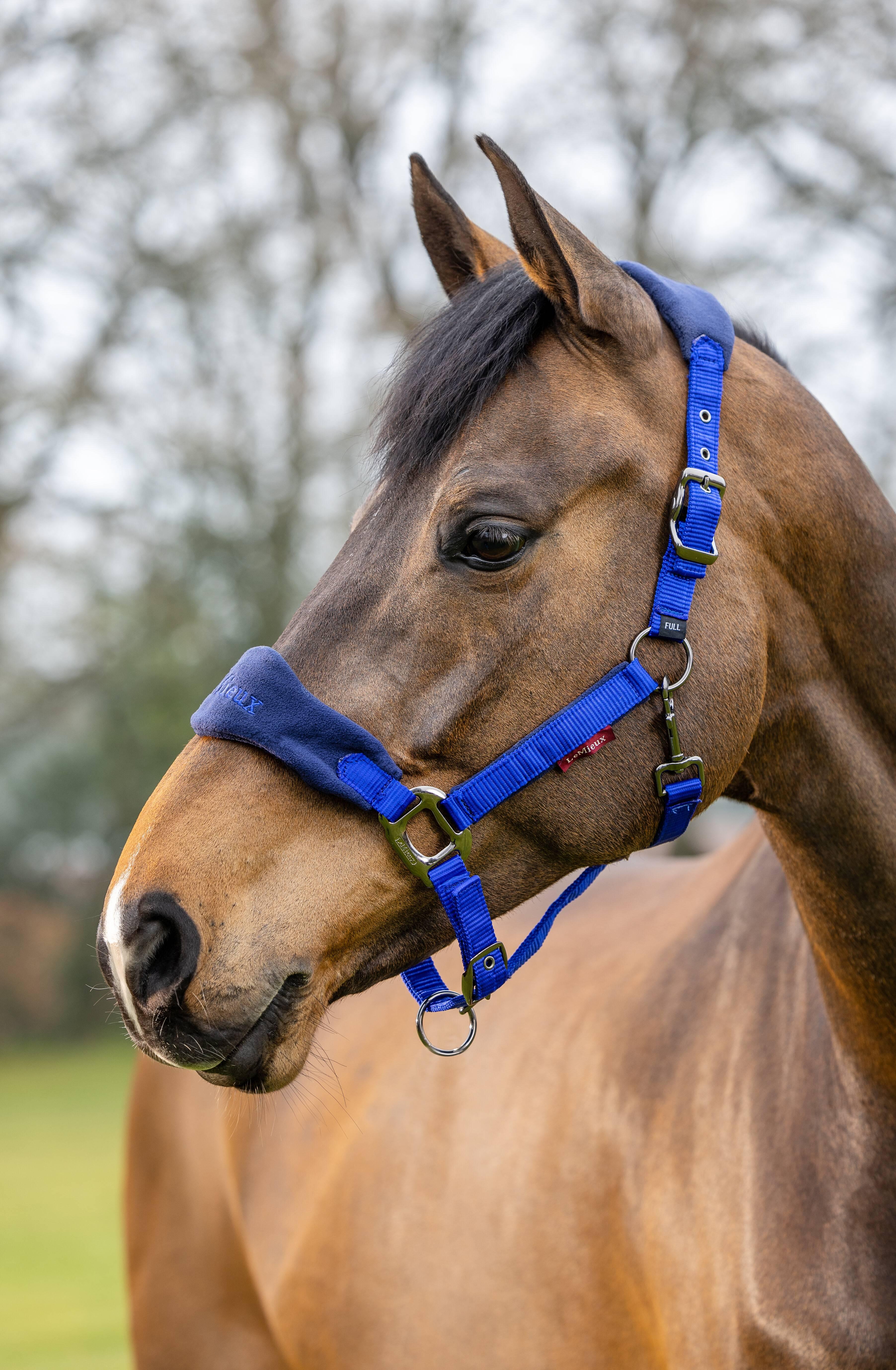 LeMieux Vogue Licol Et Longe Benetton Bleu – Doux, Polaire Et Multi-Réglable Pour Cheval